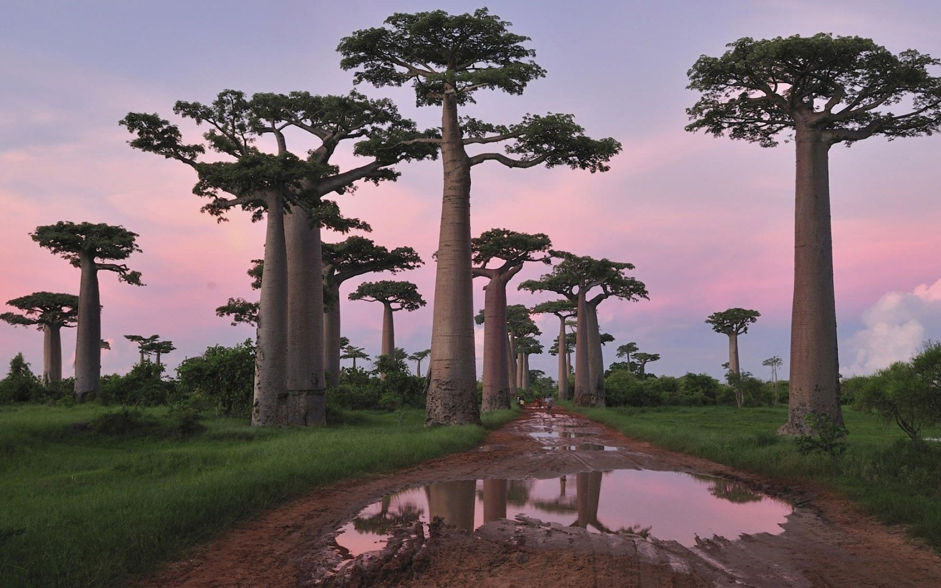 Madagascar Landscapes, Stunning Views, Picture-Perfect Scenes, Scenic Splendor, 1920x1200 HD Desktop