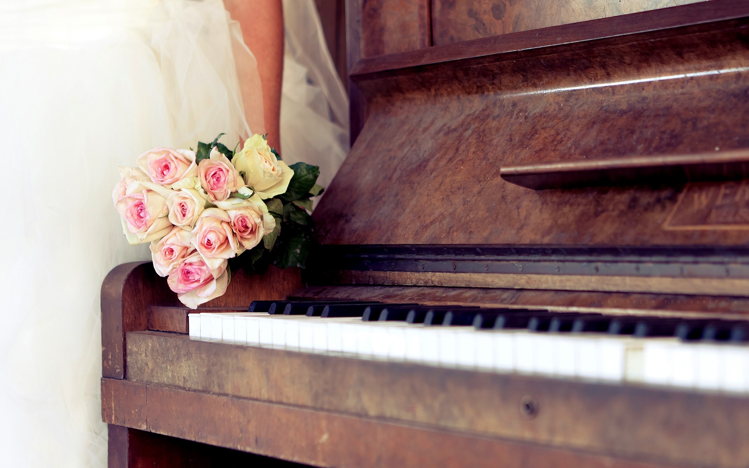 Fortepiano: White Roses, Keyboard Instruments Family, Black And White Keys. 2560x1600 HD Wallpaper.
