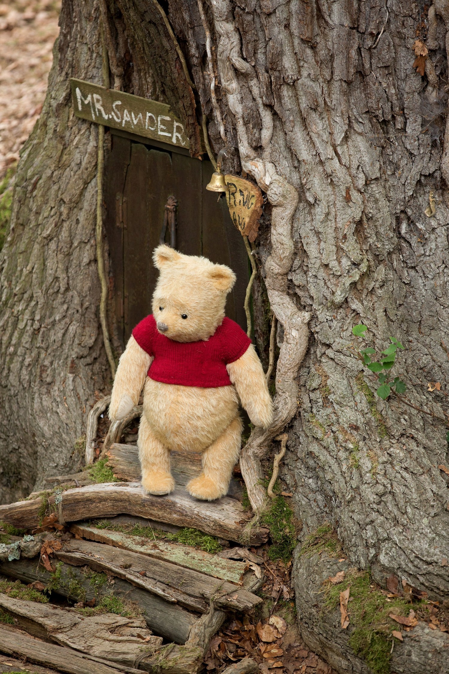 Christopher Robin (Movie): Winnie the Pooh in Disney's live-action adventure, Bear. 1500x2250 HD Background.