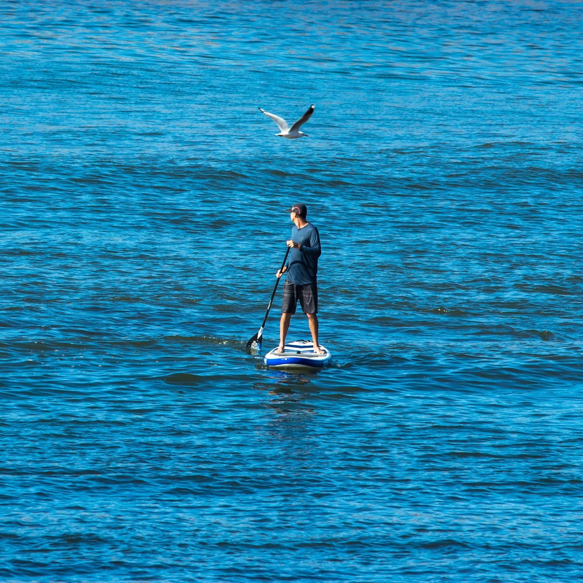 Paddleboarding gone viral, Paddling adventure, Stand up paddleboarding, Water sport, 1920x1920 HD Handy