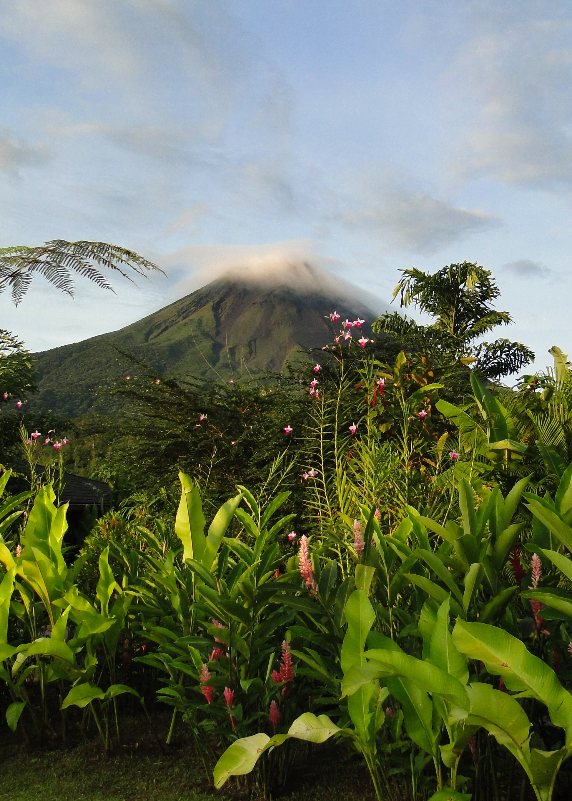 Arenal Volcano, Travel, Costa Rica, Stock photos, 1950x2730 HD Phone