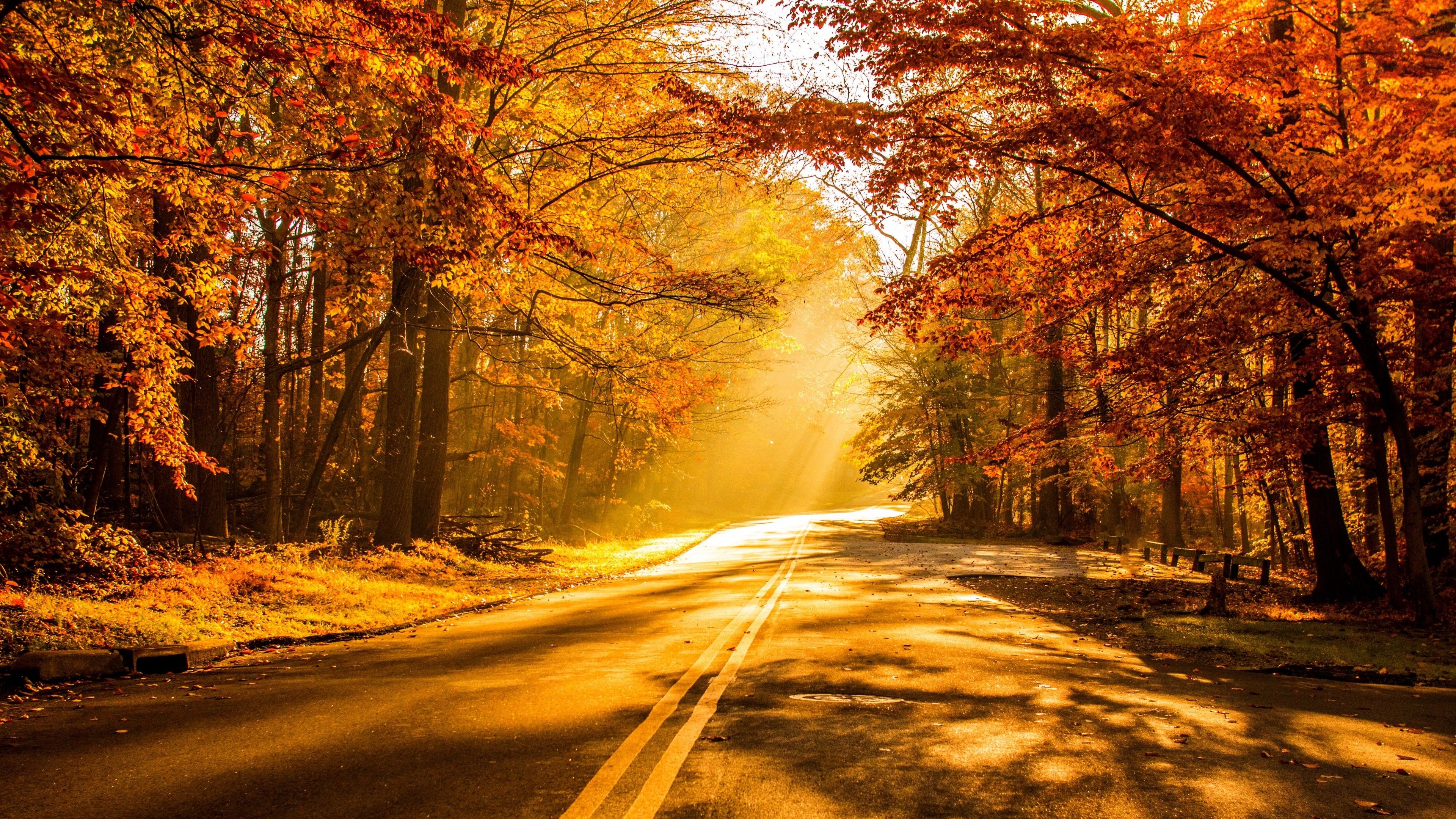 Autumn season, 4K resolution, Leaves changing, Tranquil scenery, Natural beauty, 3840x2160 4K Desktop