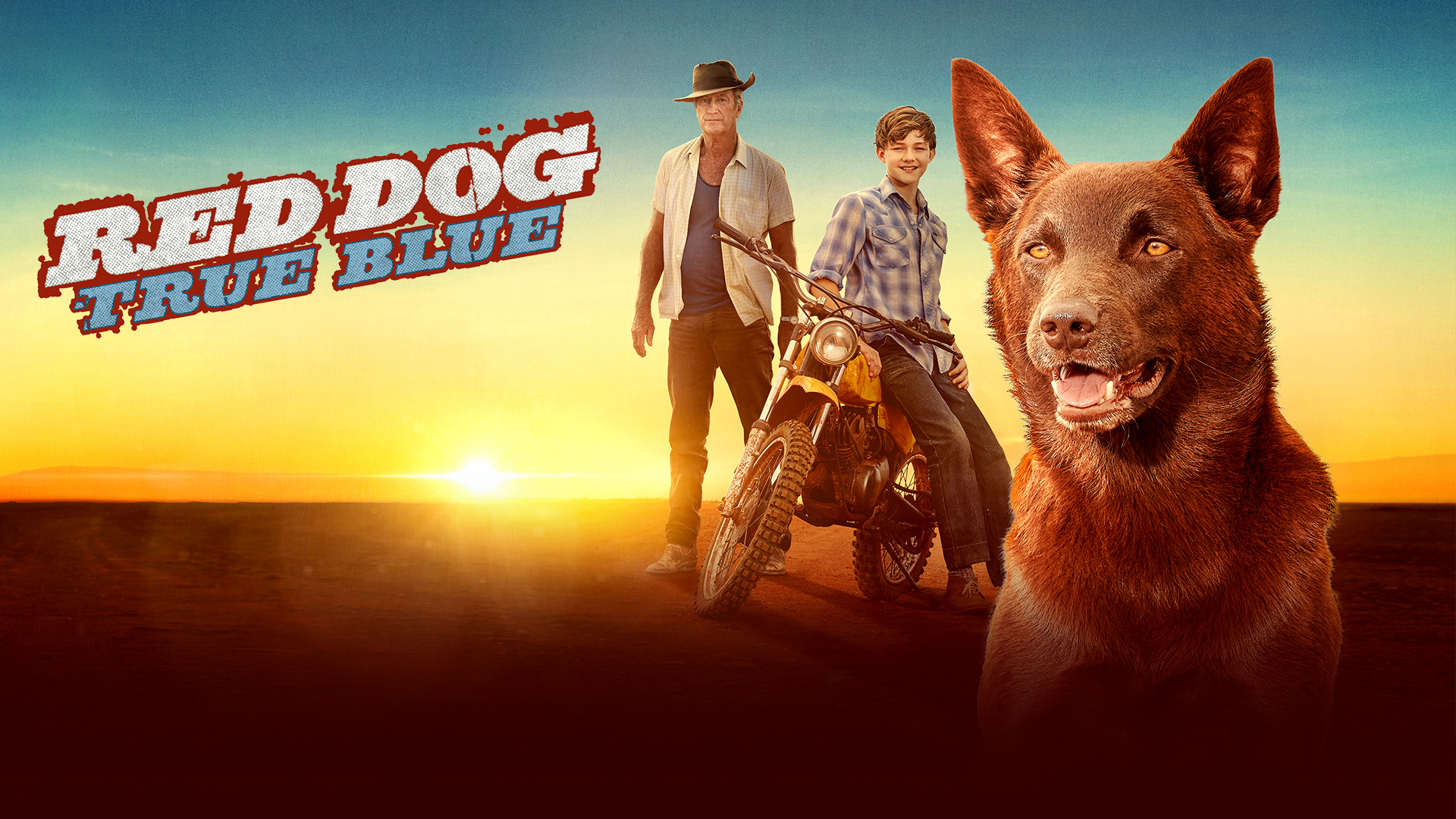 Red Dog movie, Endearing friendship, Australian outback, Heartfelt story, 1920x1080 Full HD Desktop