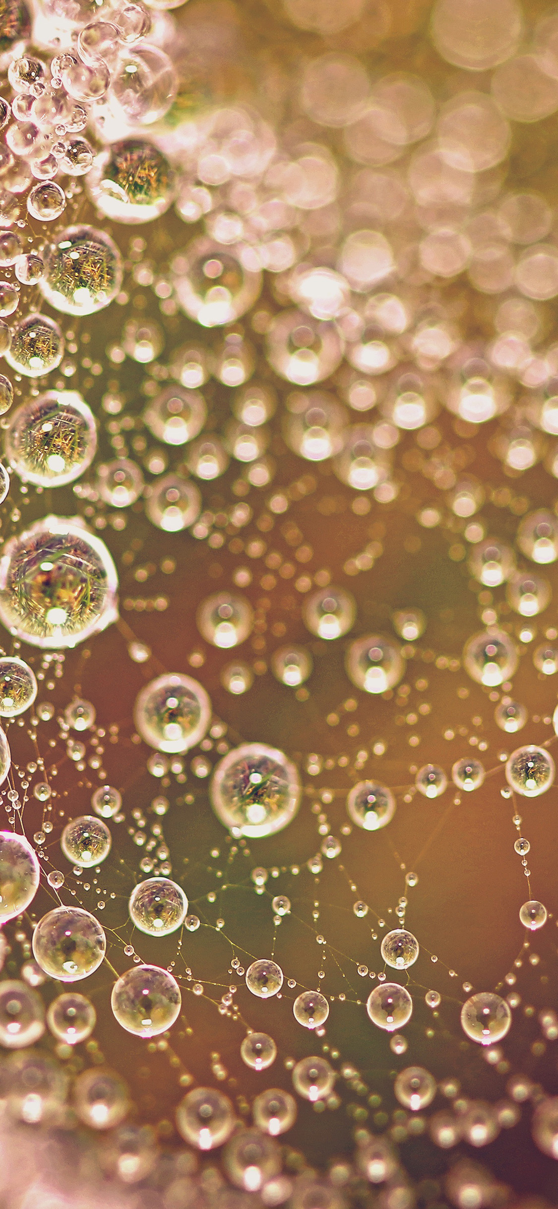 | iPhone X wallpaper | wd90-pattern-background-rain- bubbles-texture 1130x2440