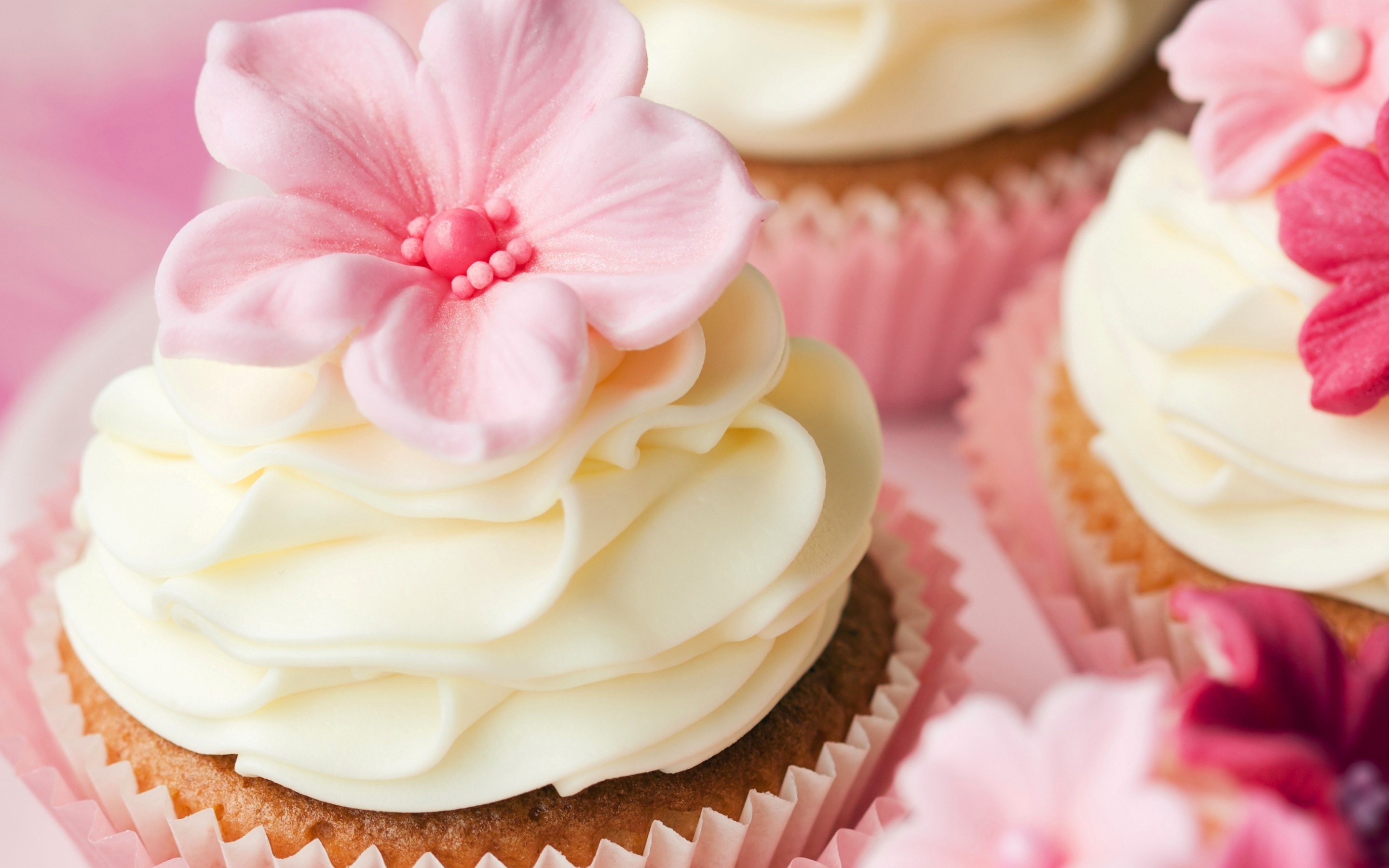 Delicious cupcakes, HD wallpaper, Tempting dessert, Sweet delight, 2880x1800 HD Desktop