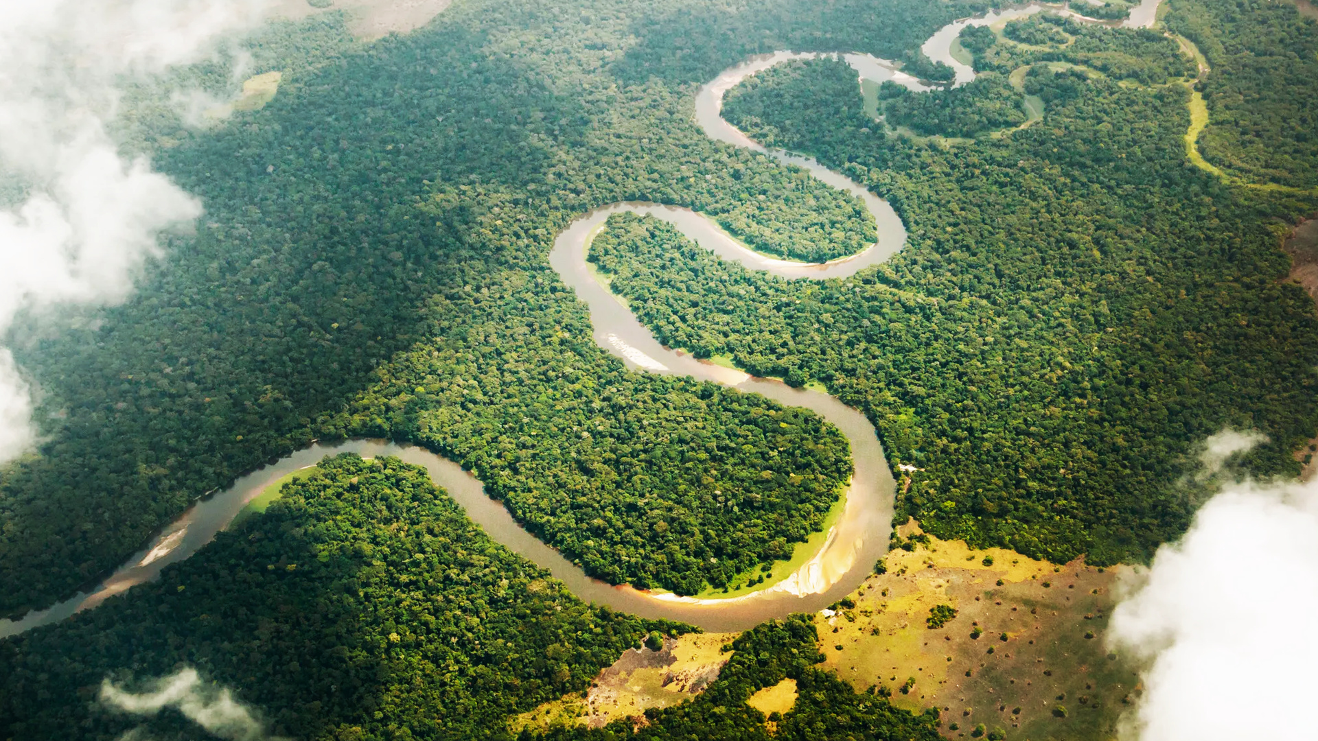 The Congo River, Climate change, Biodiversity, Congo Basin, 1920x1080 Full HD Desktop