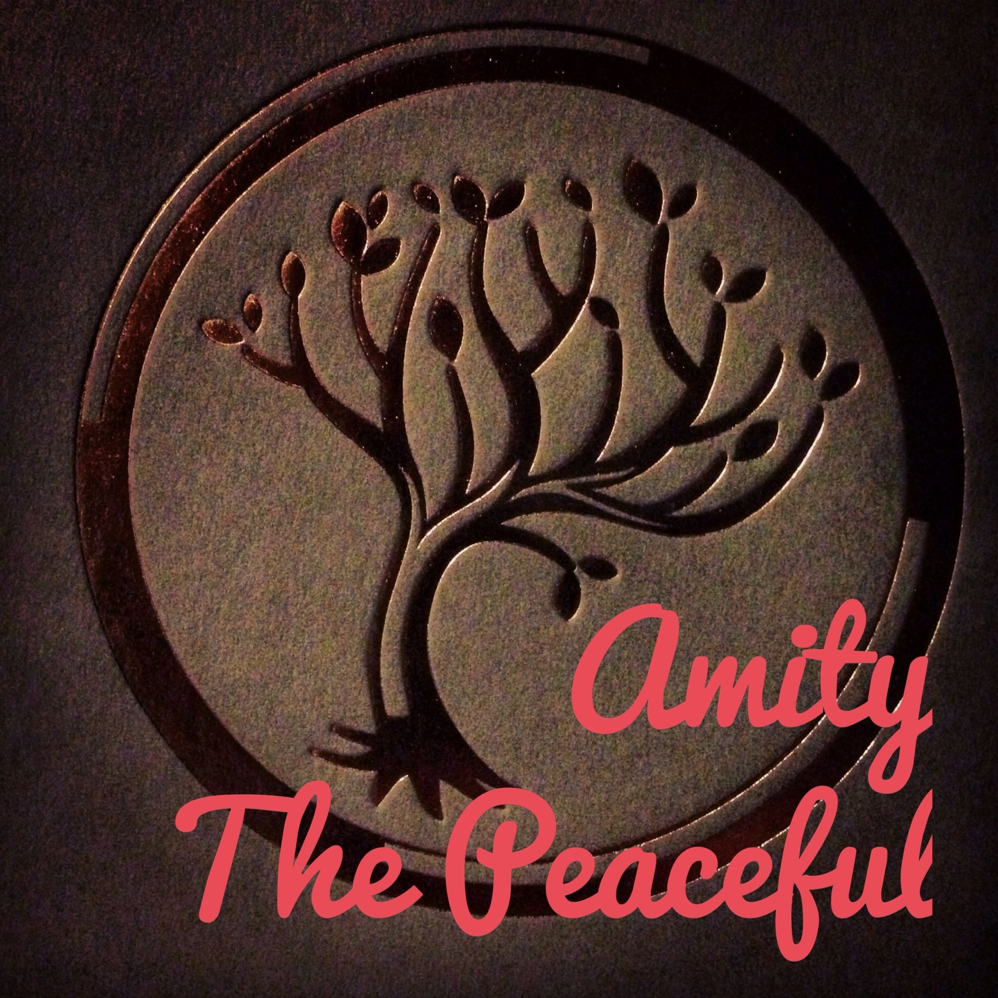 Amity faction, Peaceful community, Utopian society, Harmonious existence, 2050x2050 HD Phone