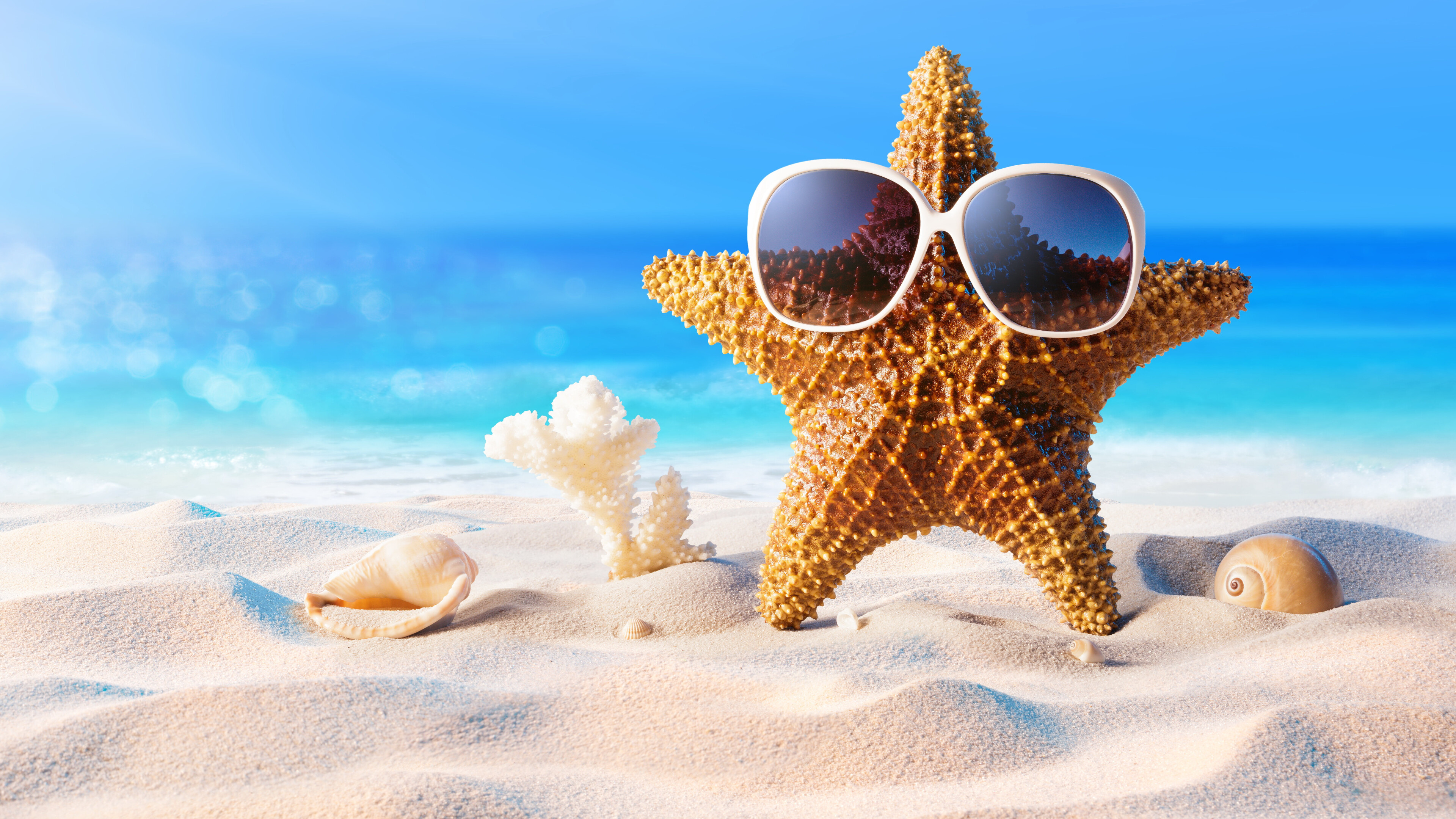 Starfish: Summer 4K Ultra HD Beach Wallpapers - ZeeOii 4K Wallpapers. 3840x2160 4K Background.