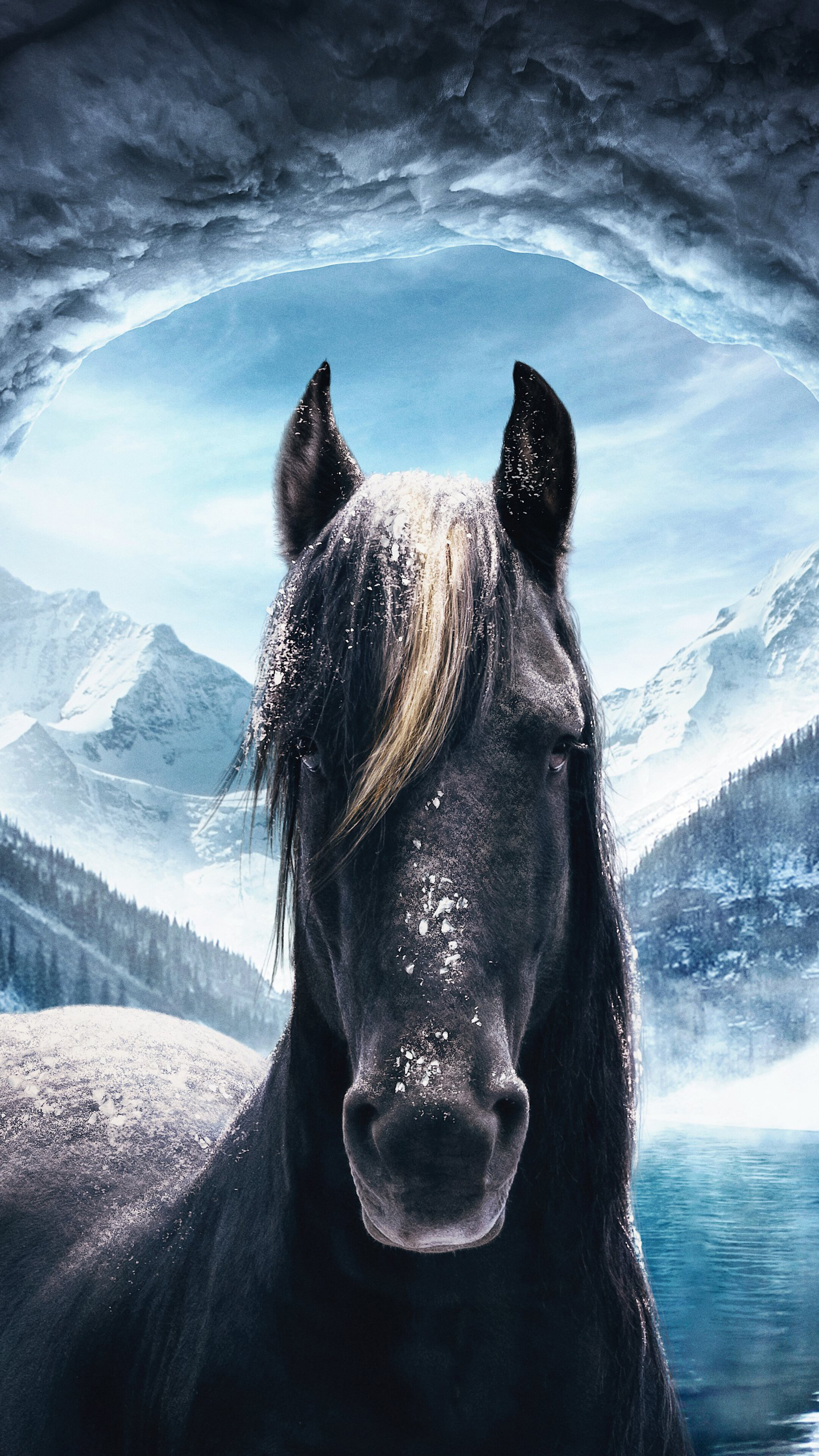 Equestrian-themed wallpapers, Horse lovers' delight, Amazing visuals, Stunning HD quality, 2160x3840 4K Phone