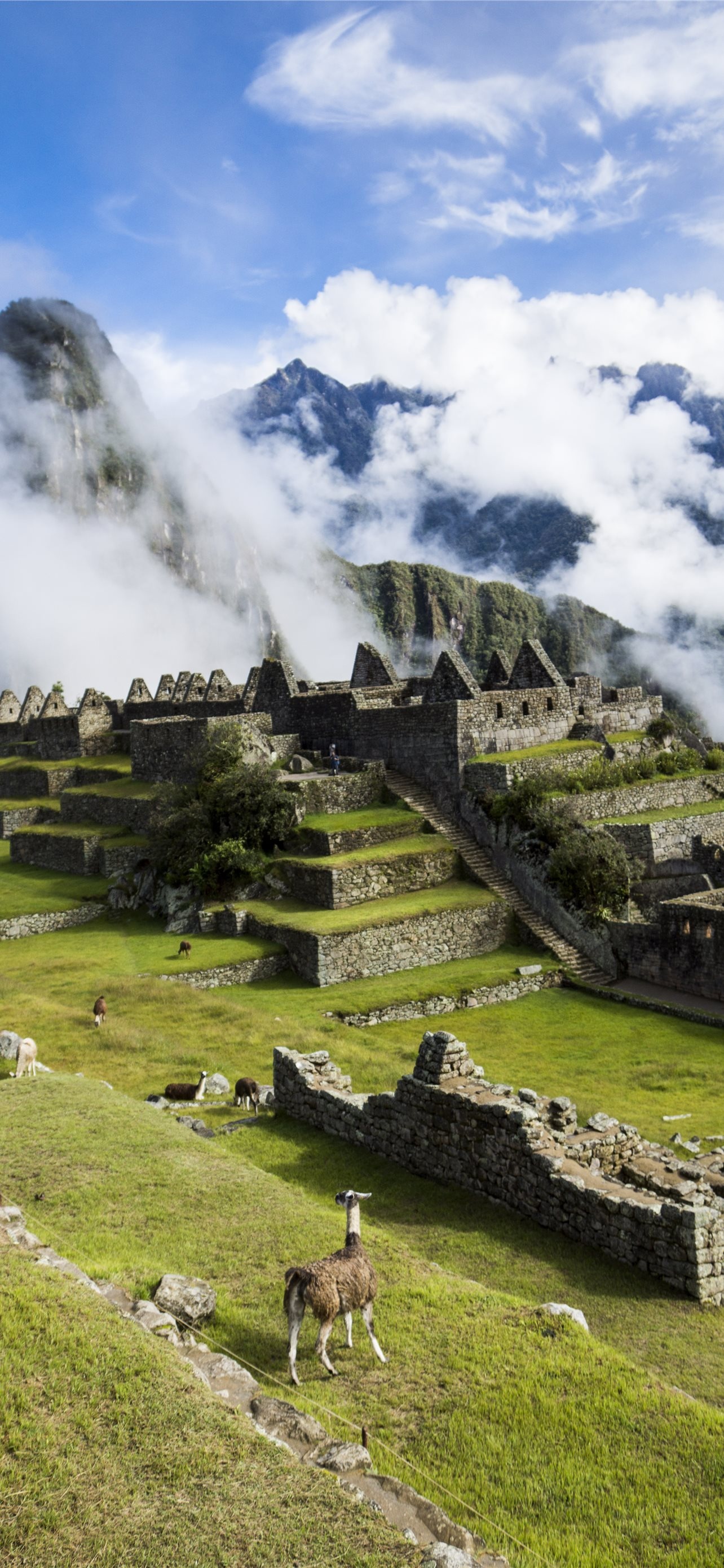 Machu Picchu wallpapers, Spectacular views, Iconic monument, Bucket-list destination, 1290x2780 HD Handy