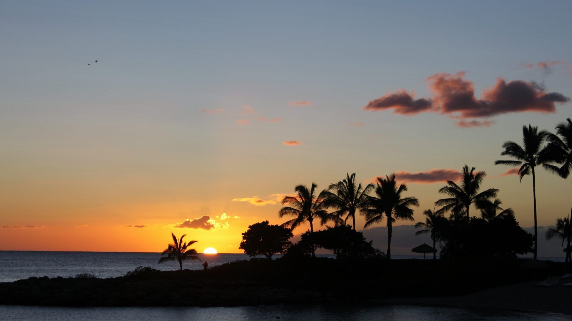 Hawaiian sunset, Beautiful beach view, Tropical paradise, Mesmerizing colors, 1920x1080 Full HD Desktop