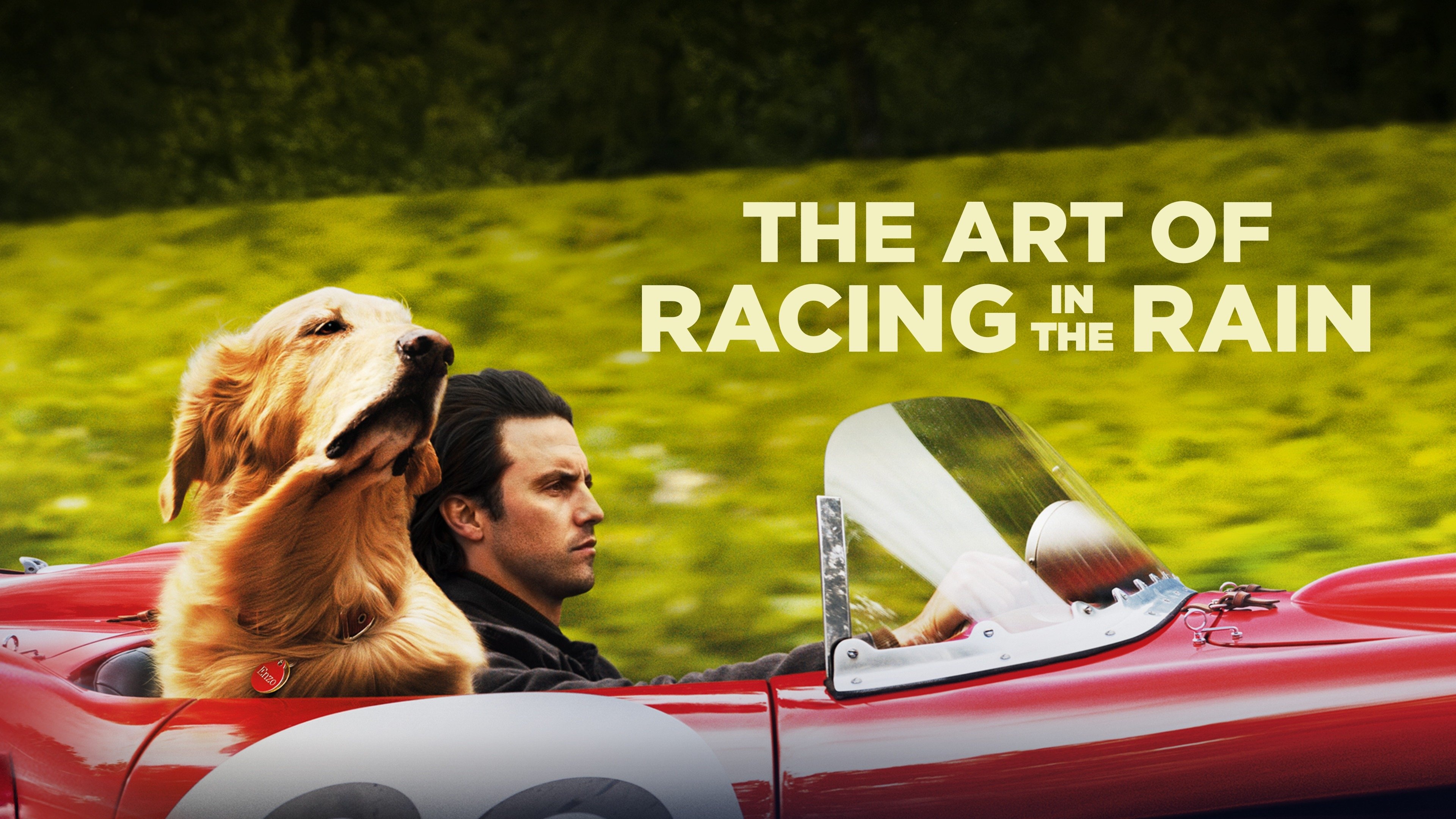 The Art of Racing in the Rain, Watch full movie online, Heartwarming story, Emotional journey, 3840x2160 4K Desktop
