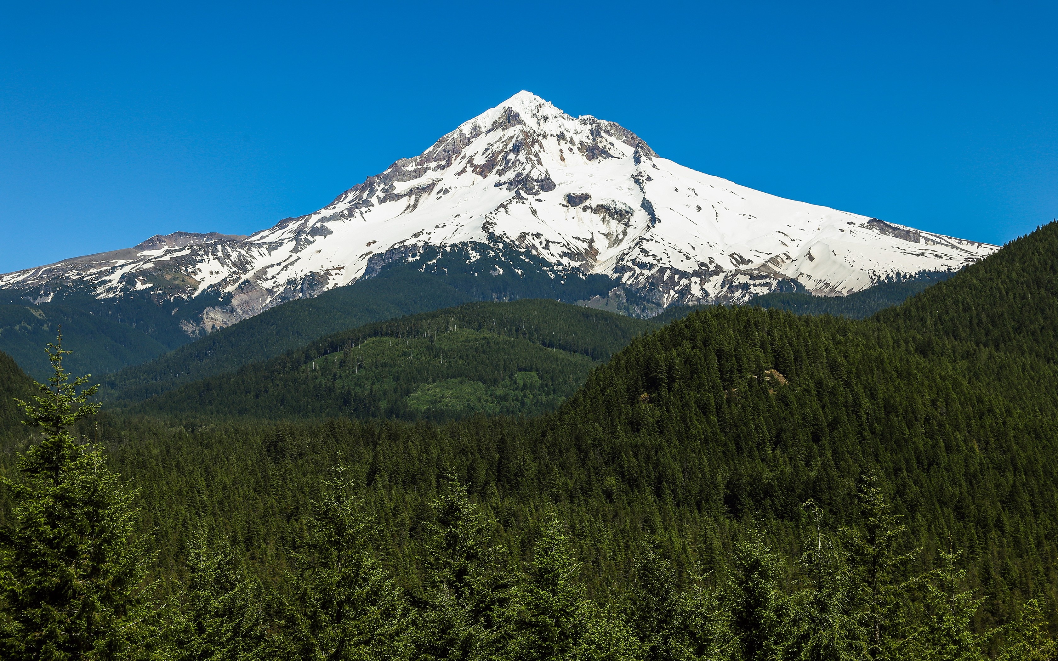 Mount Hood, Forest mountains, Snowy peak, 3360x2100 HD Desktop