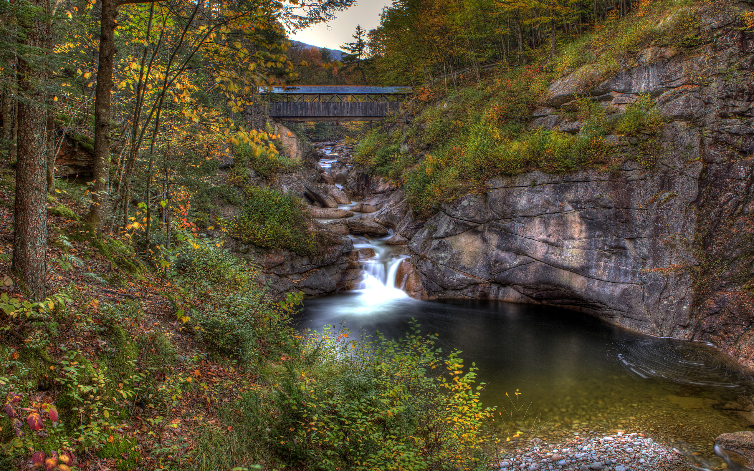 New Hampshire, Travels, River reflections, Serene trees, 2560x1600 HD Desktop