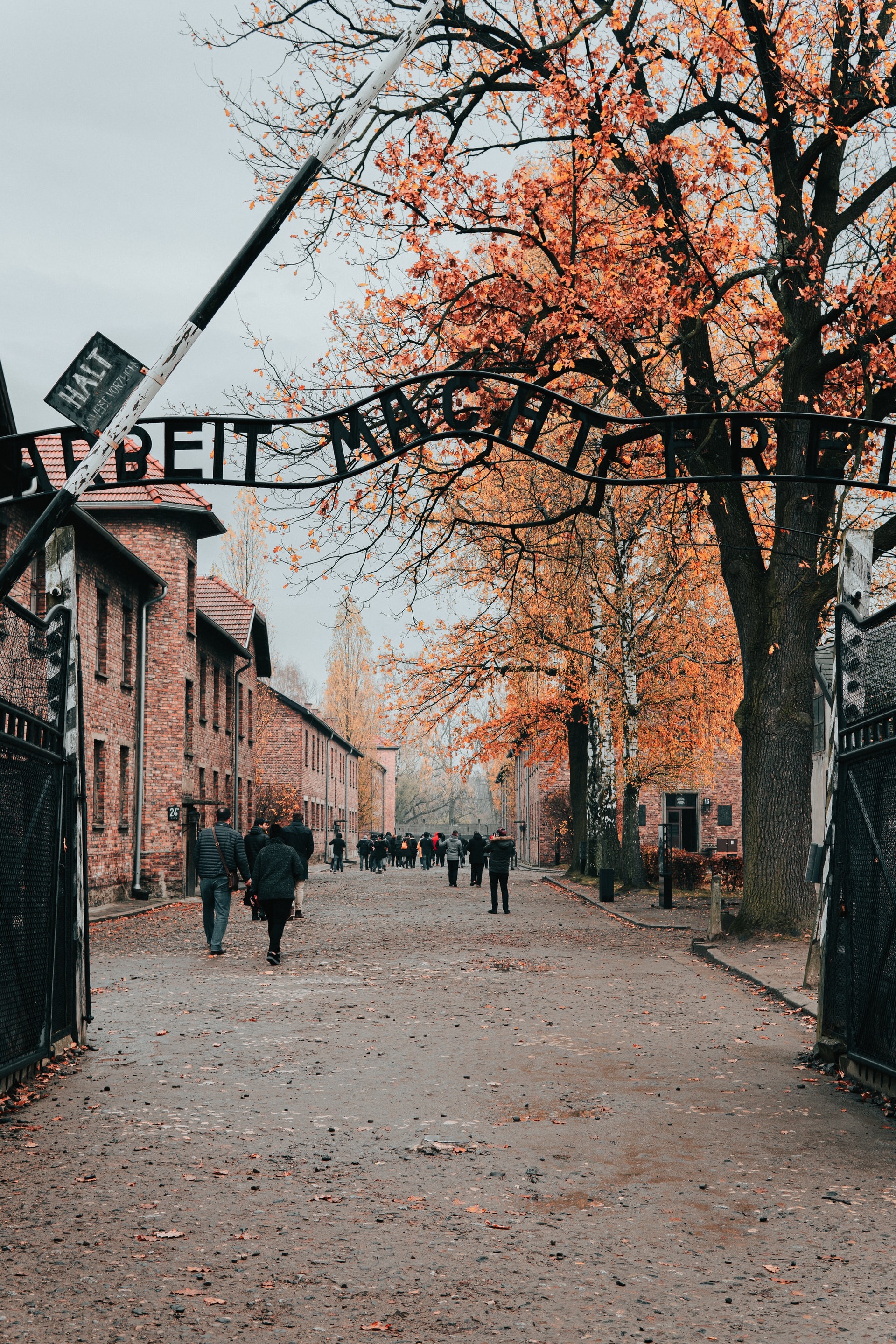 Auschwitz camp, Krakow Poland, 1920x2880 HD Phone