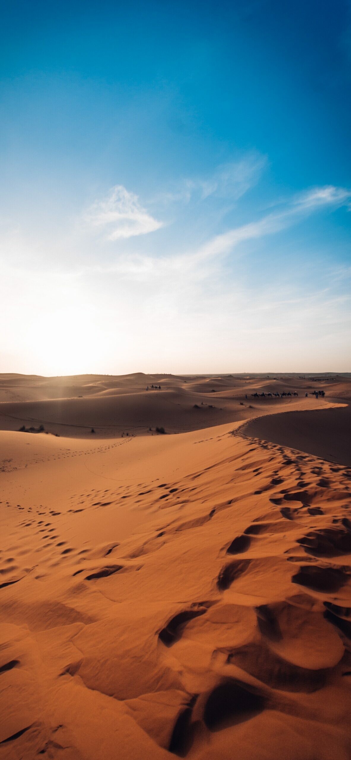 Desert: Sahara, Aeolian landform, Singing sand. 1190x2560 HD Wallpaper.