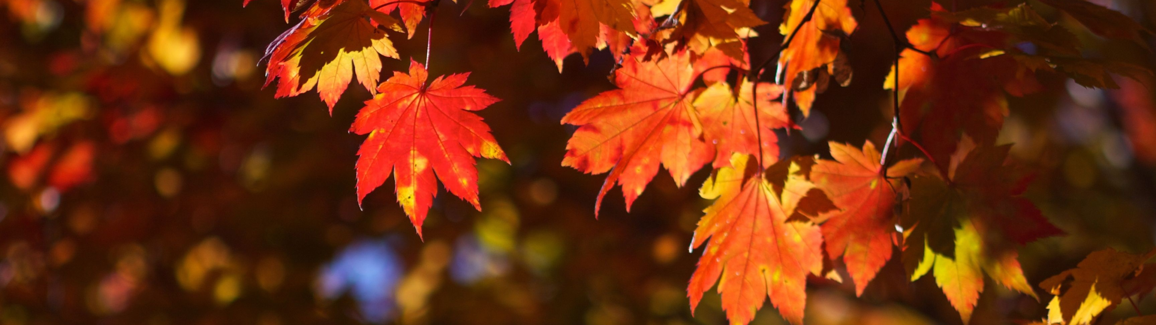 3840 x 1080, Autumn wallpapers, Breathtaking landscapes, Stunning backgrounds, 3840x1080 Dual Screen Desktop