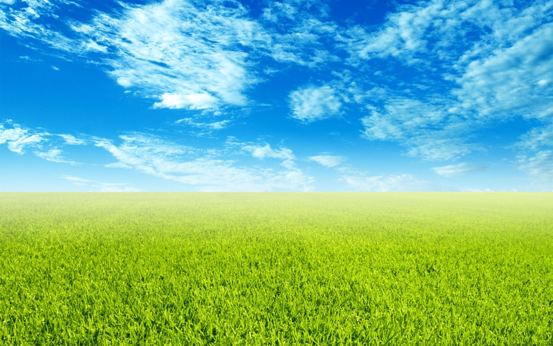 Grass and Sky: Greensward lawn, Greenery land, Meadowland, Verdure, Grounds. 1920x1200 HD Background.
