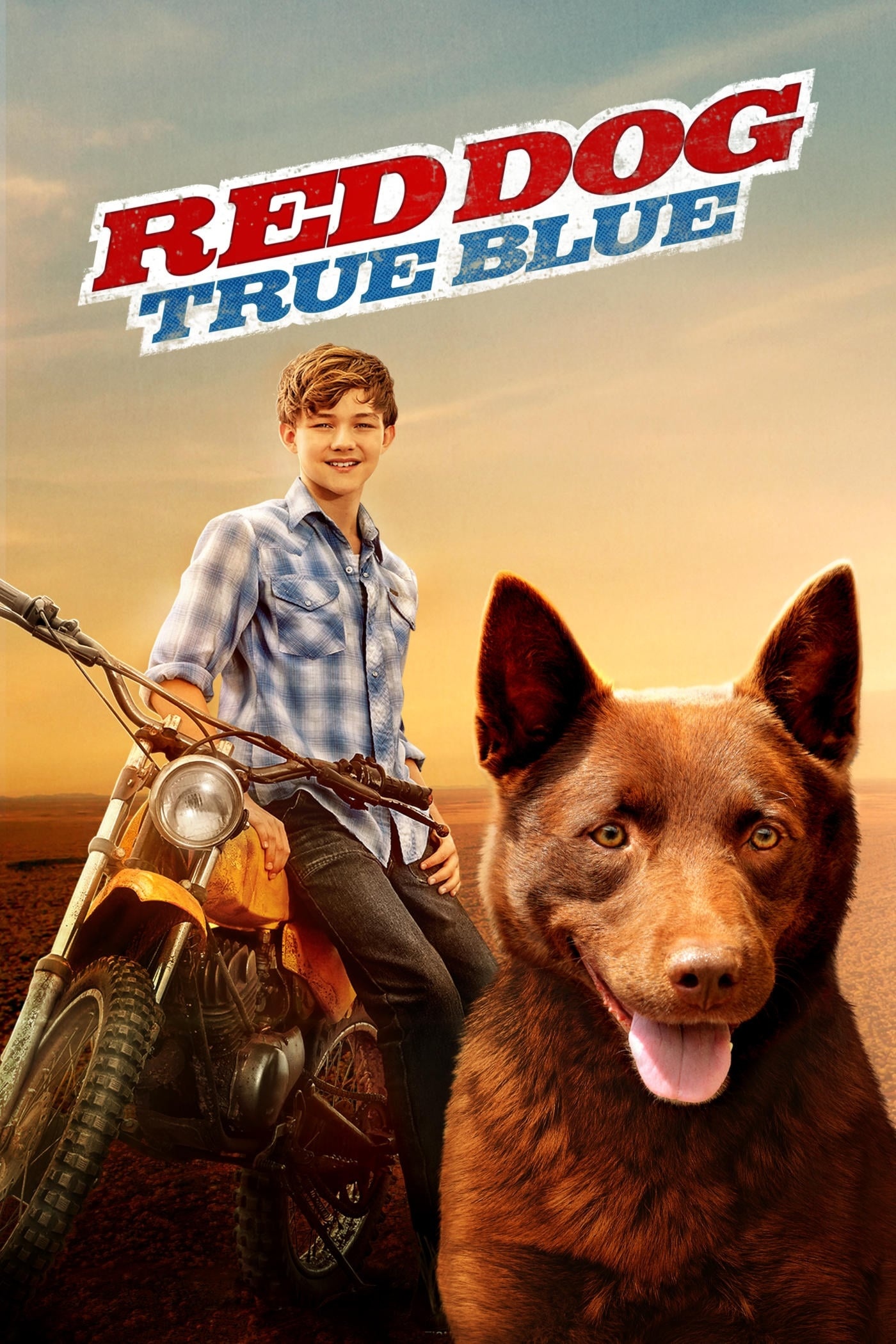 Red Dog movie, Australian adventure, Childhood memories, Heartwarming storytelling, 1400x2100 HD Phone