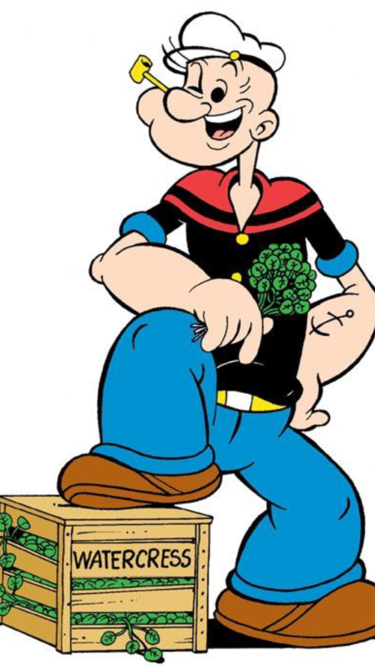 Popeye the Sailor, Childhood memories, Classic cartoons, Beloved characters, 1250x2210 HD Handy
