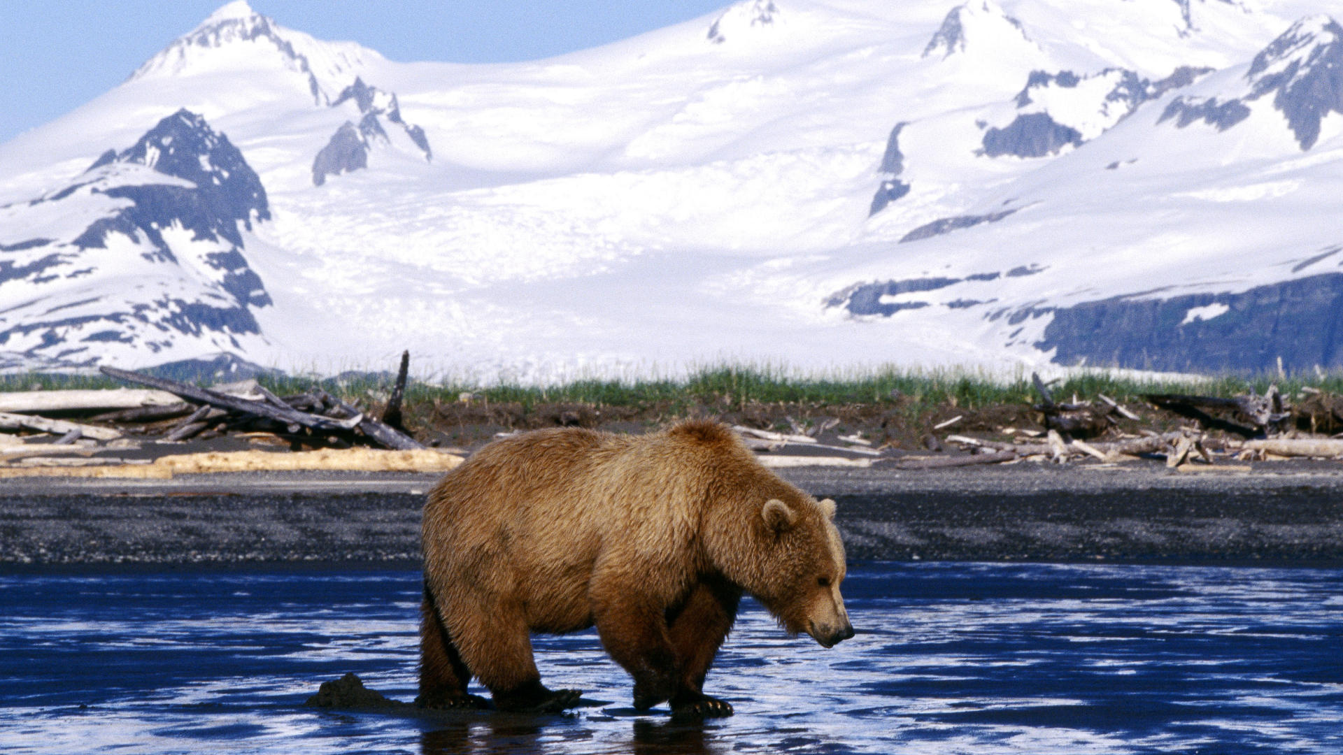 Alaska travels, Free download, Stunning backgrounds, Visual delight, 1920x1080 Full HD Desktop