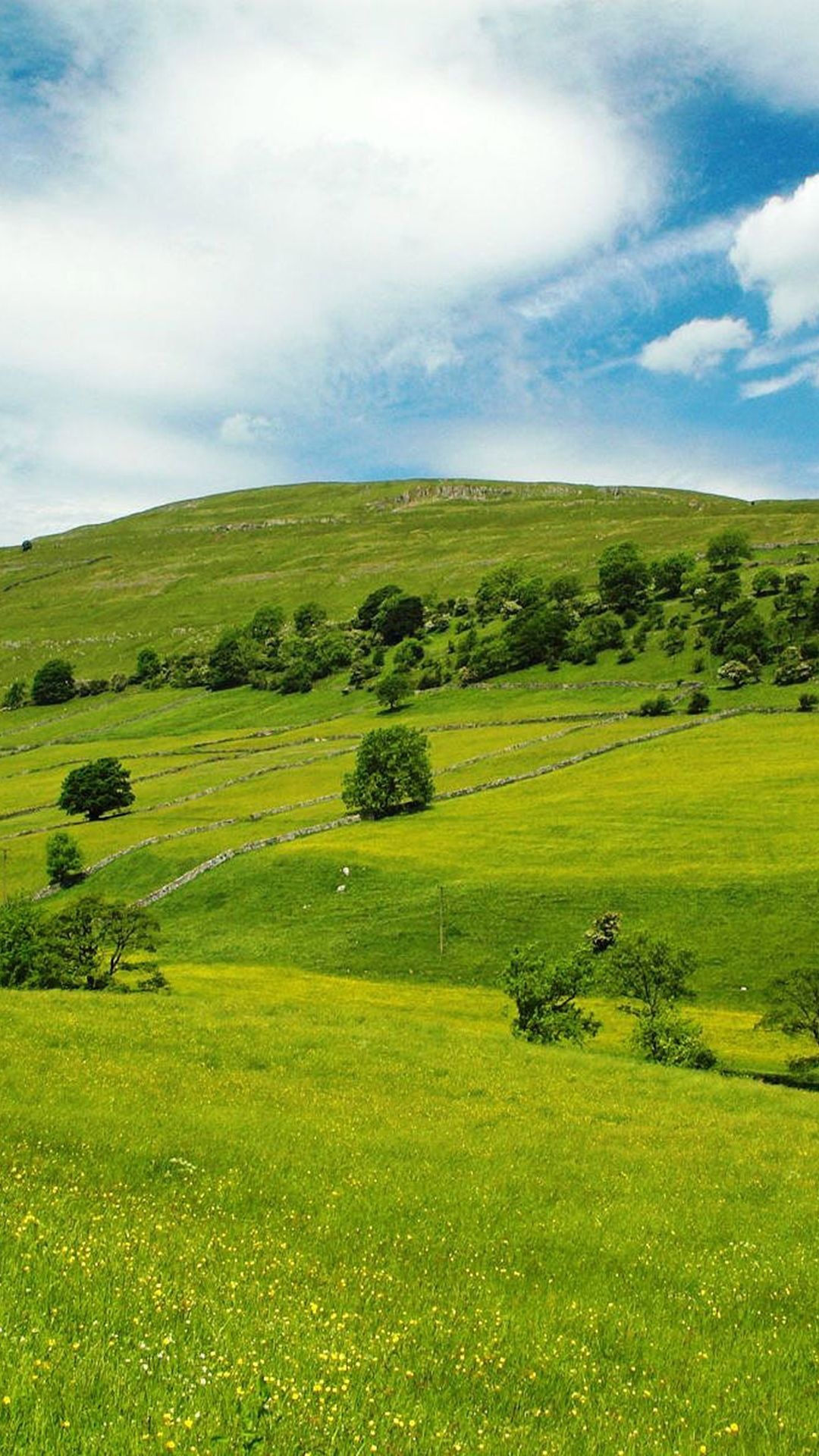 Grassland: Green pastures, Bucolic surroundings, Natural environment, Fresh air, Hills. 1080x1920 Full HD Wallpaper.