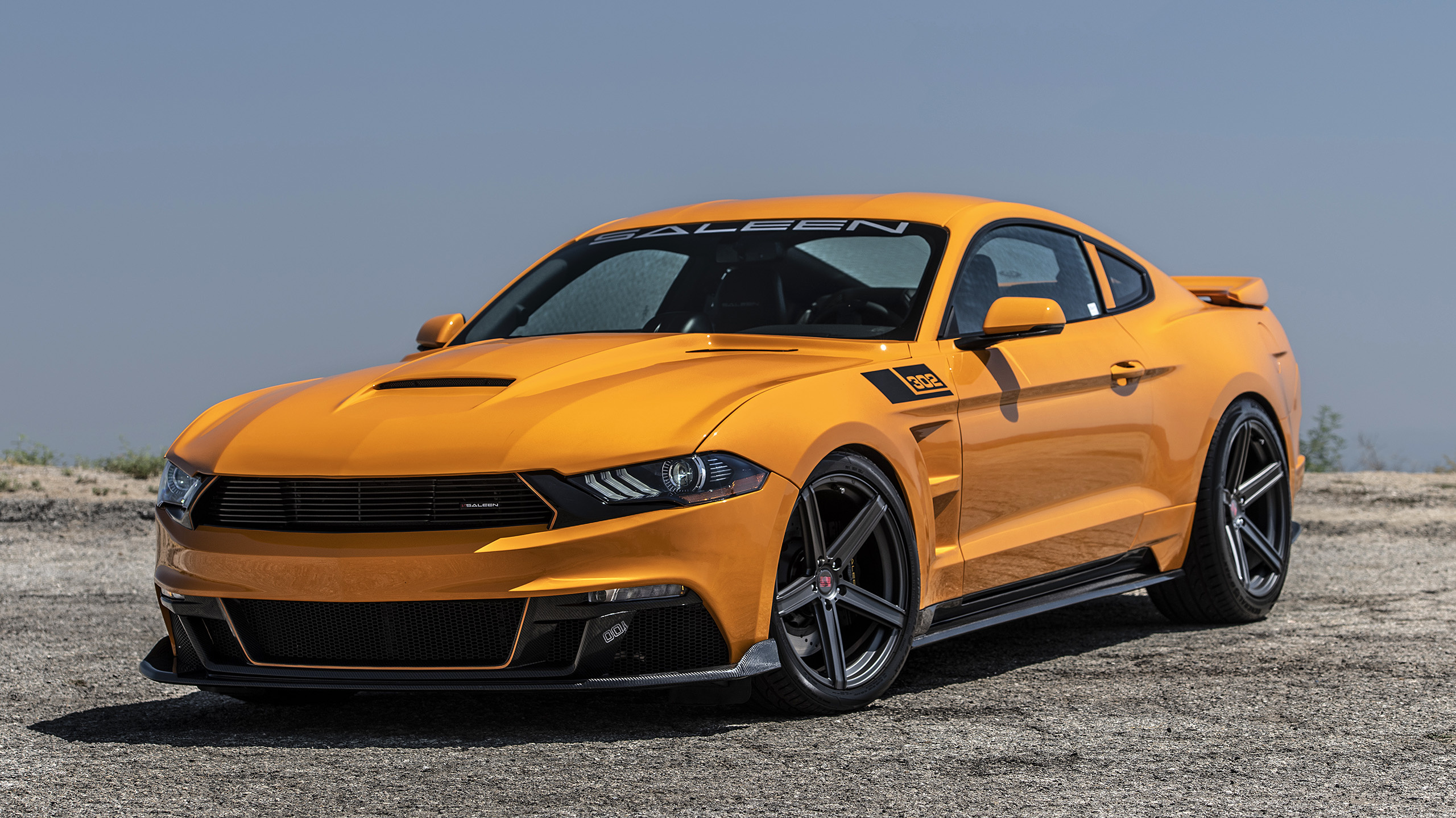 2019 Saleen Mustang, High-performance tuning, Race-inspired build, Sleek silhouette, Distinctive details, 2560x1440 HD Desktop