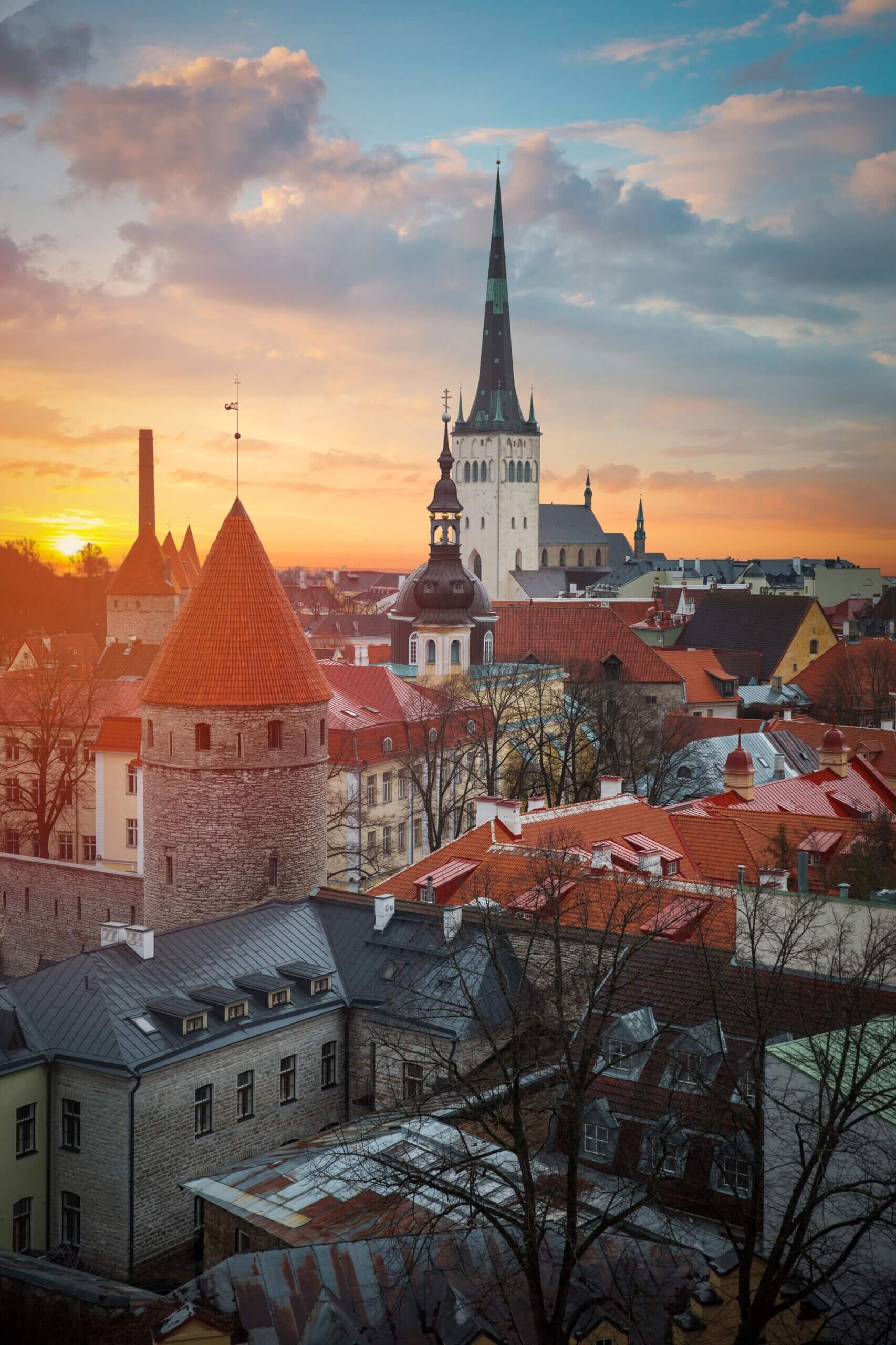 Tallinn (Estonia), Flying squirrels, Medieval castles, Long daylight hours, 1710x2560 HD Phone