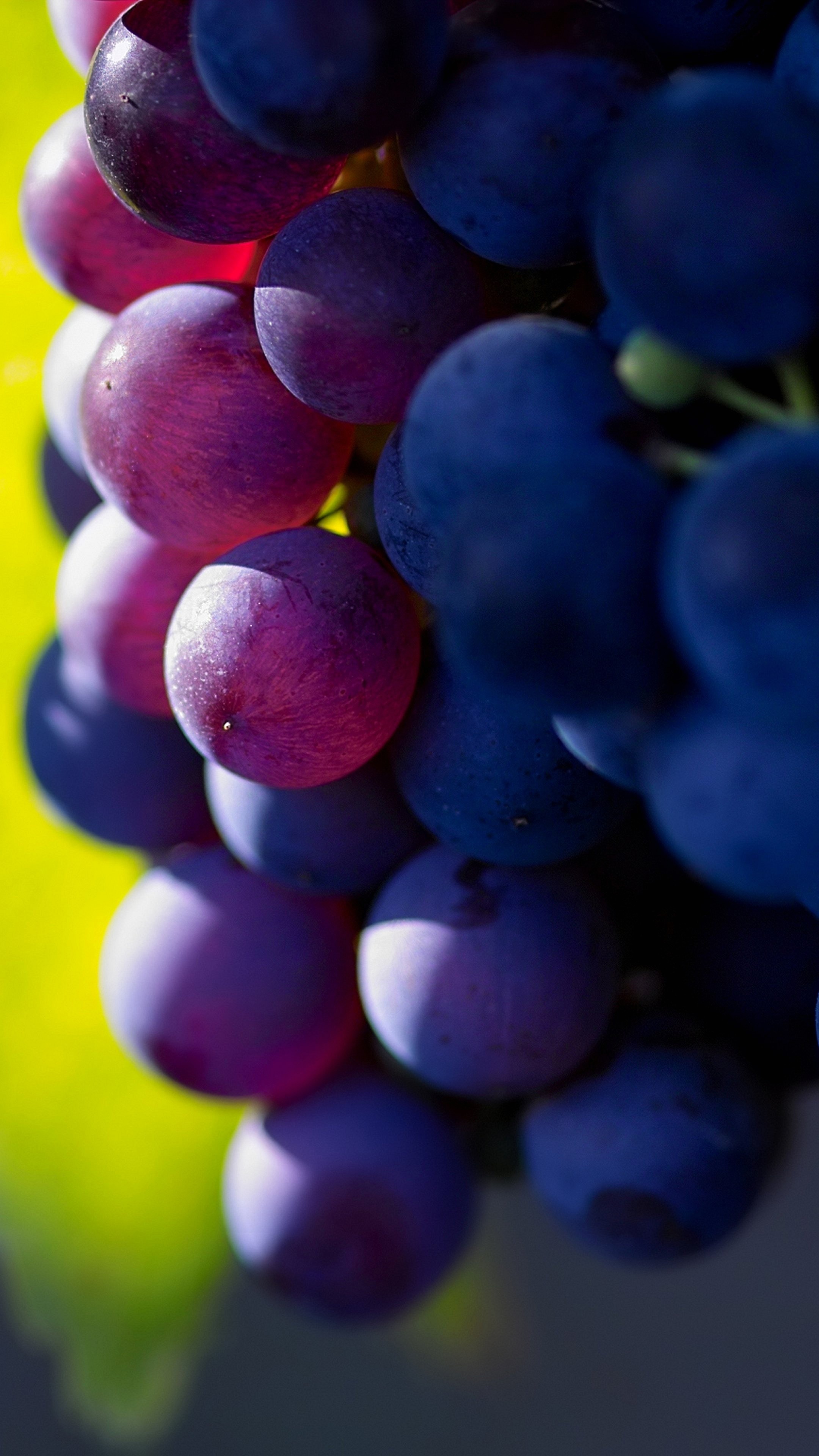 Grapes: Classified as either table or wine species. 2160x3840 4K Wallpaper.