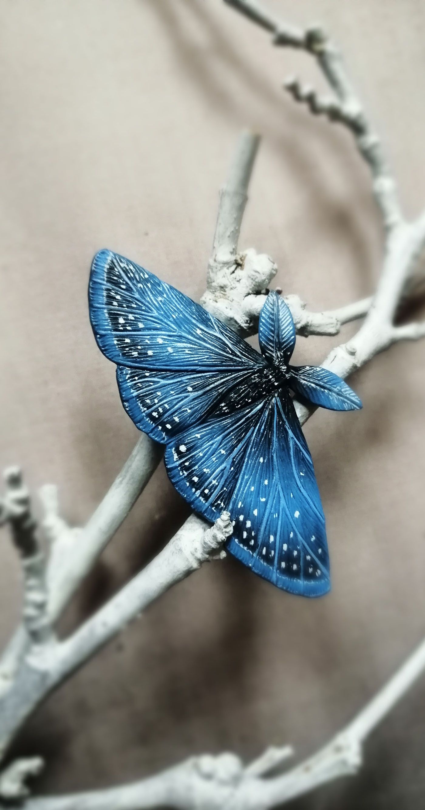 Beautiful bugs, Beautiful butterflies, Cute moth, 2021, 1400x2670 HD Phone