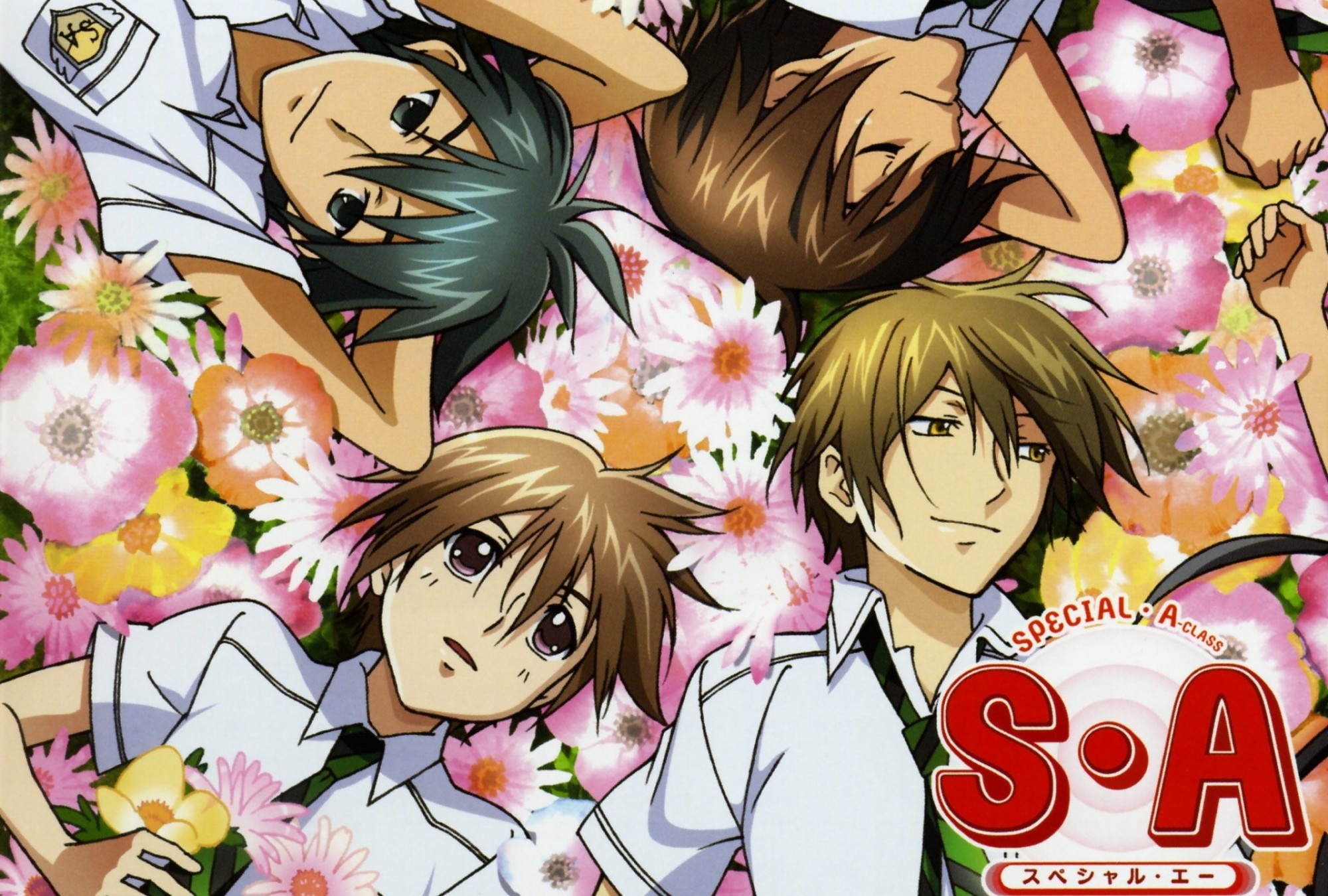 S. A: Special A, Anime series, HD wallpaper, Background image, 2000x1350 HD Desktop