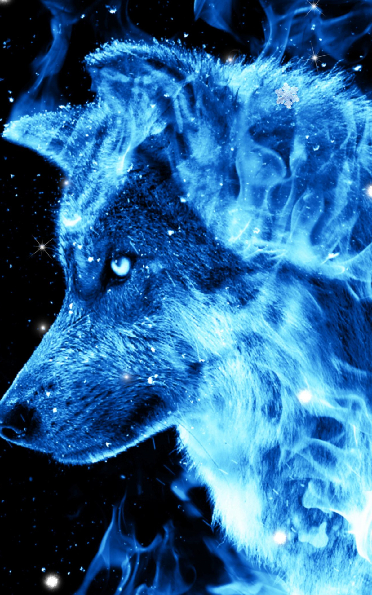 Free download Ice Fire Wolf Wallpaper for Android APK Download 1440x2560 for your Desktop, Mobile \u0026 Tablet | Explore 60+ Wolf Pictures Wallpaper | Free Wolf Pictures Wallpaper 1200x1920