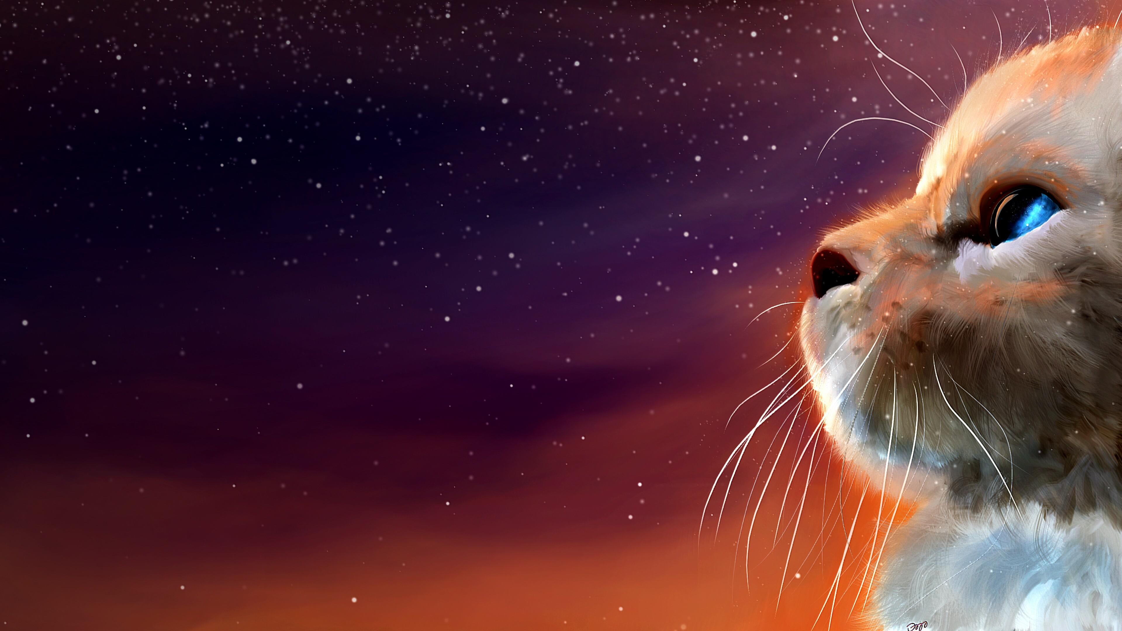 Galaxy Cat, Nebula eyes, Cosmic captivation, Artistic allure, 3840x2160 HD Desktop