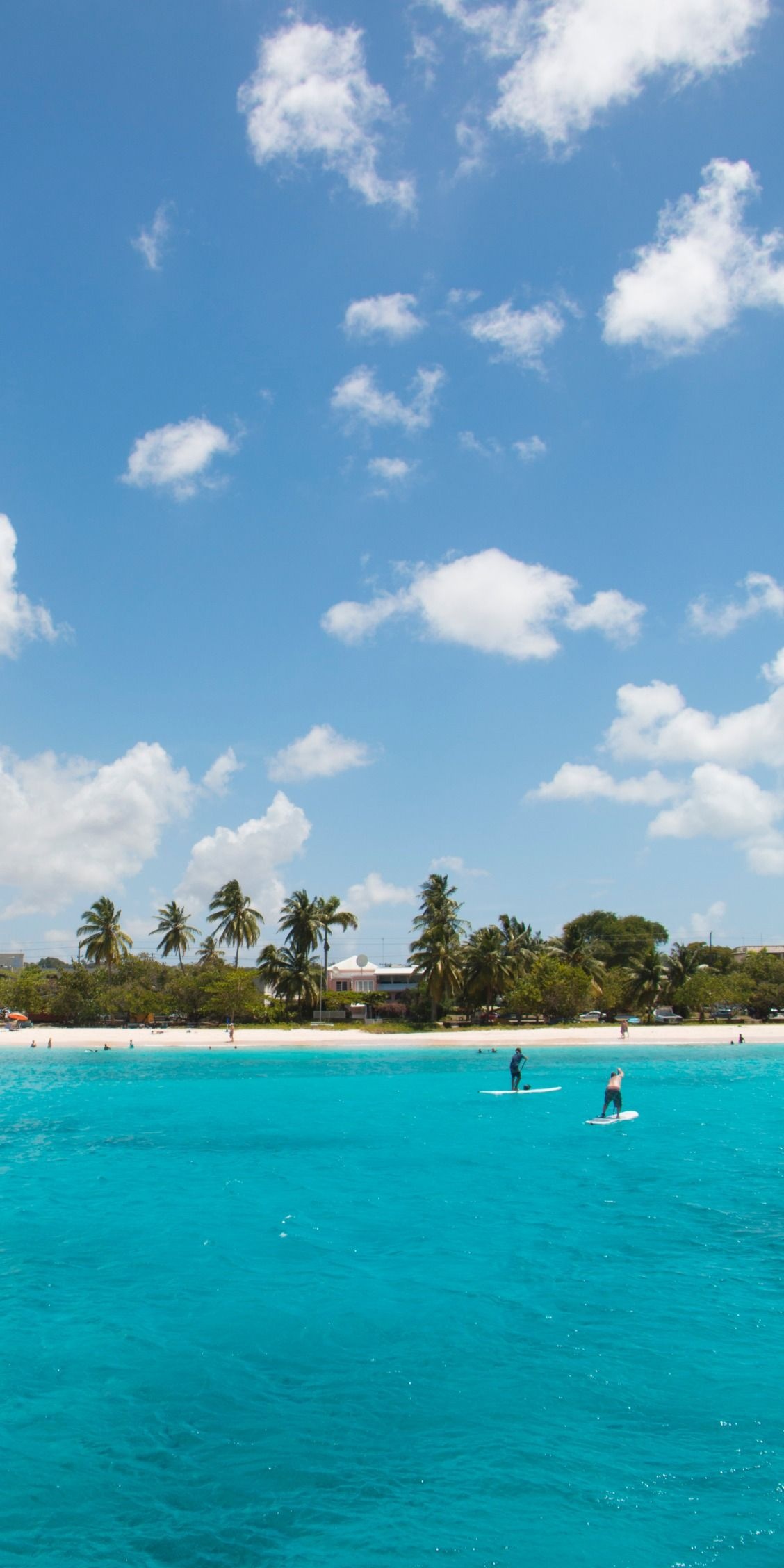 Bridgetown wonders, Clear blue seas, Stunning beaches, Caribbean vacation, 1130x2260 HD Phone
