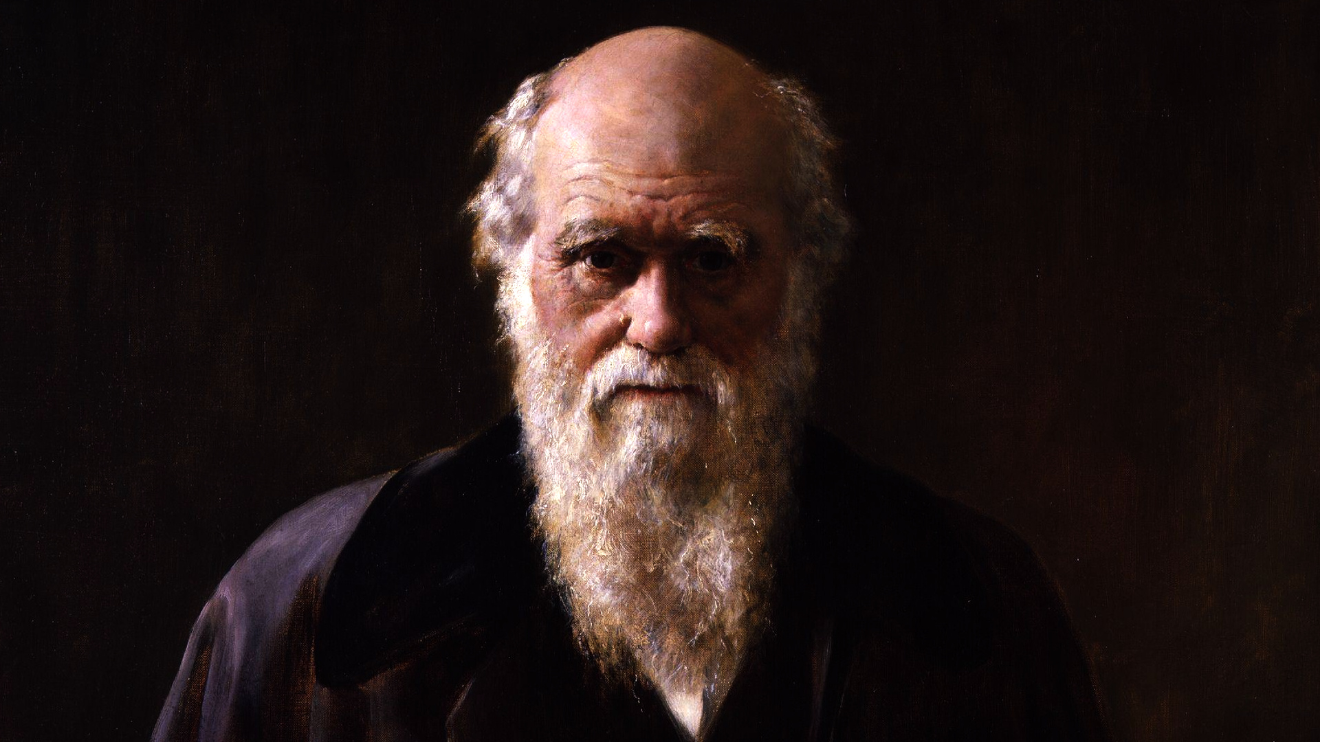 Charles Darwin: A geologist, a biologist, and a naturalist, Believed that the branching pattern of evolution was a result of natural selection. 1920x1080 Full HD Wallpaper.