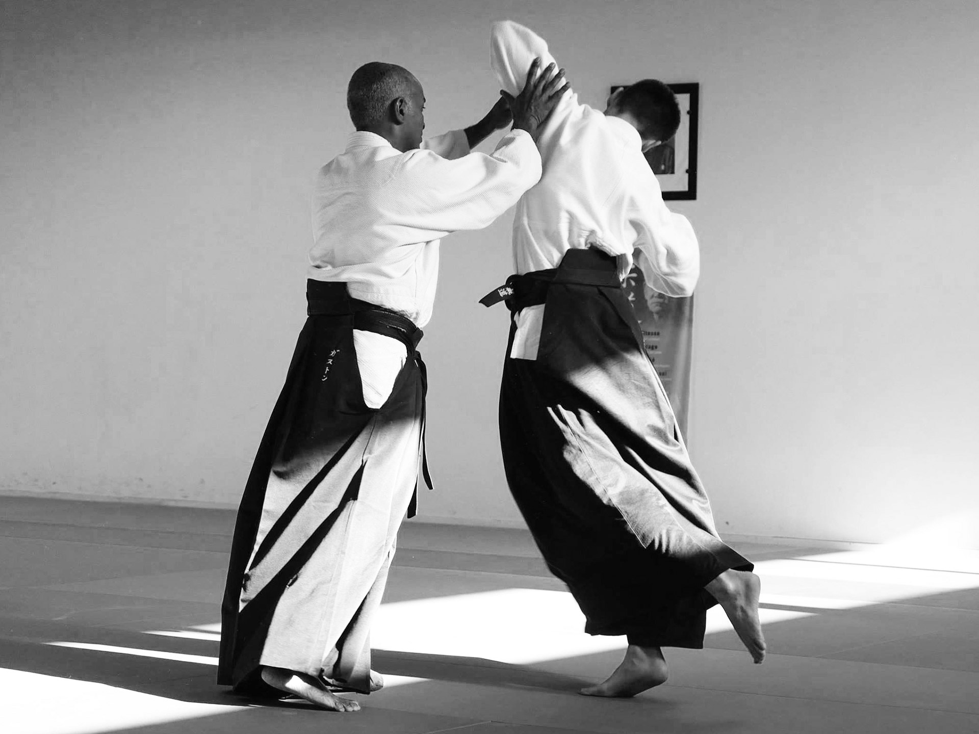 Aikido: Joint lock by a 6. Dan Sensei, Kashima Shinryu martial arts. 1920x1440 HD Wallpaper.