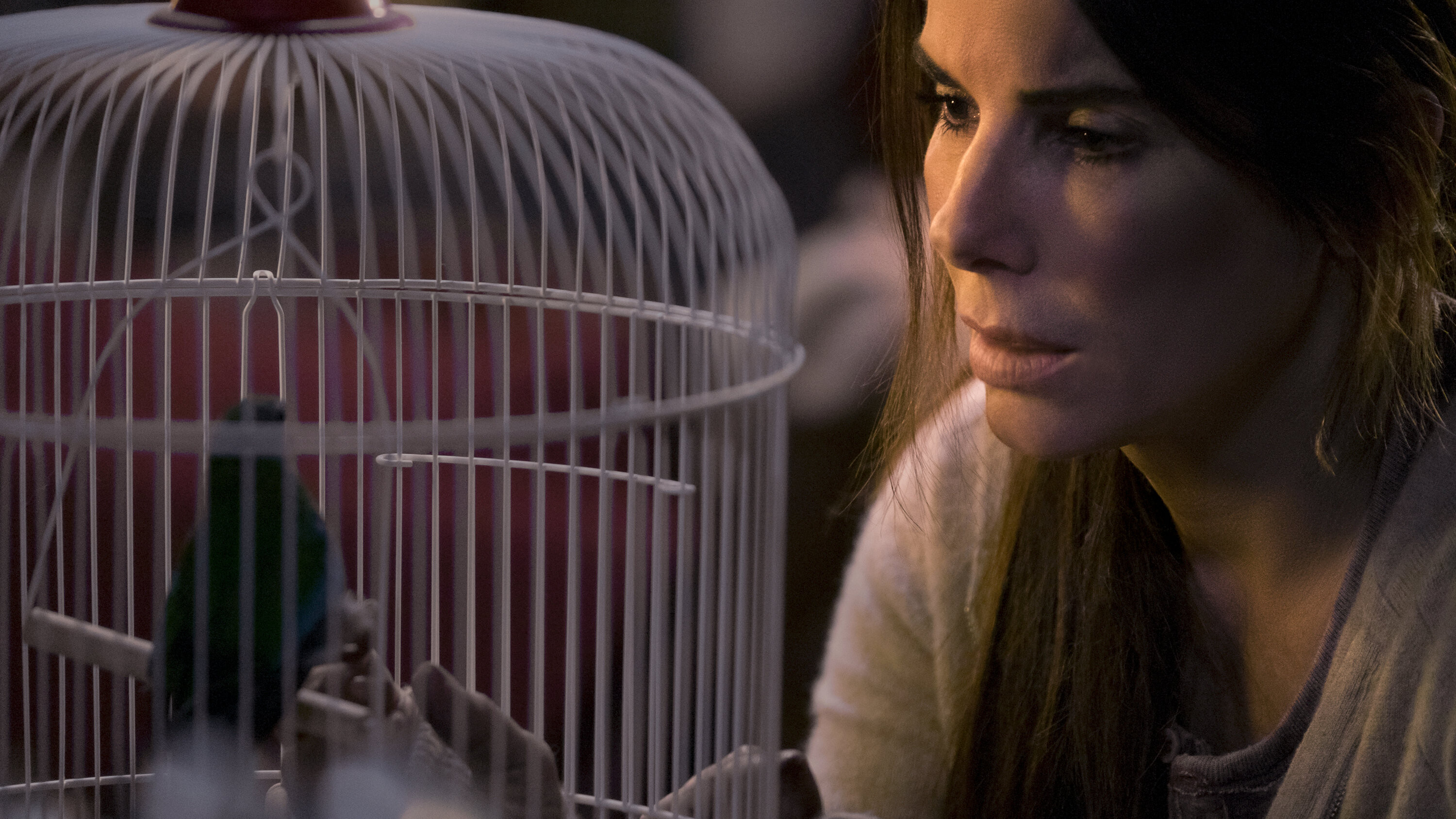 Bird Box (Movie 2018): Sandra Bullock as Malorie Hayes, The leading character in the film produced by Netflix. 3000x1690 HD Background.
