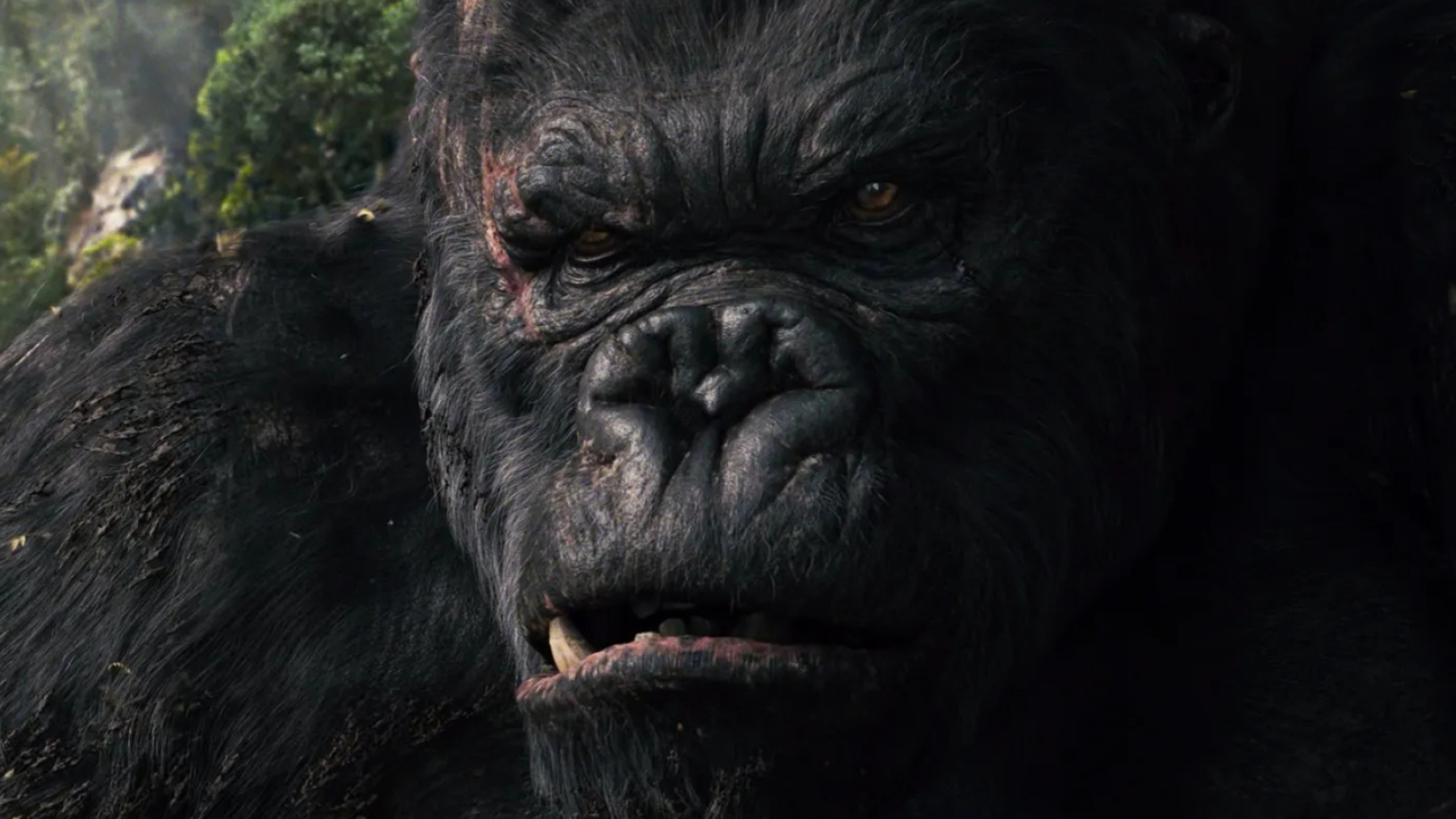 King Kong: Carl Denham's Giant Monster, 2005 movie, Directed by Peter Jackson. 1920x1080 Full HD Wallpaper.