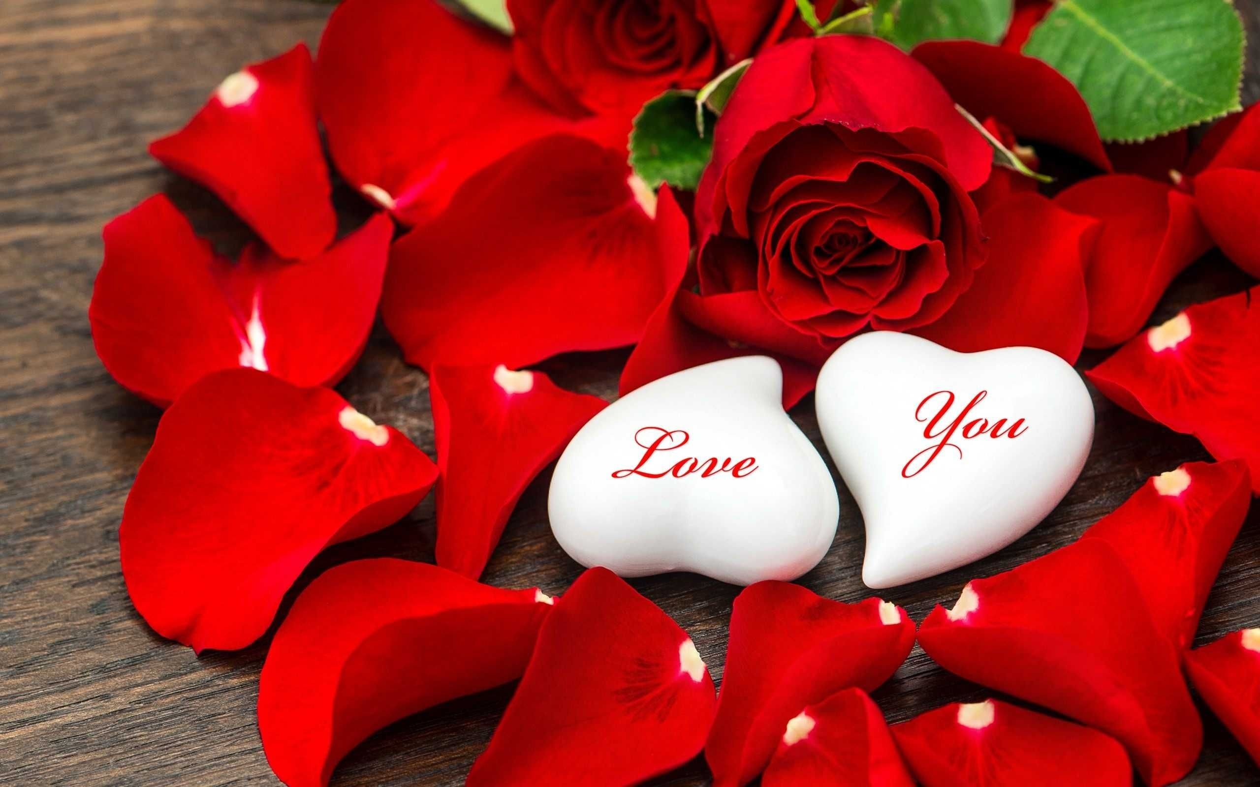 Romantic Love Flowers Wallpapers - Top Free Romantic Love Flowers Backgrounds 2560x1600