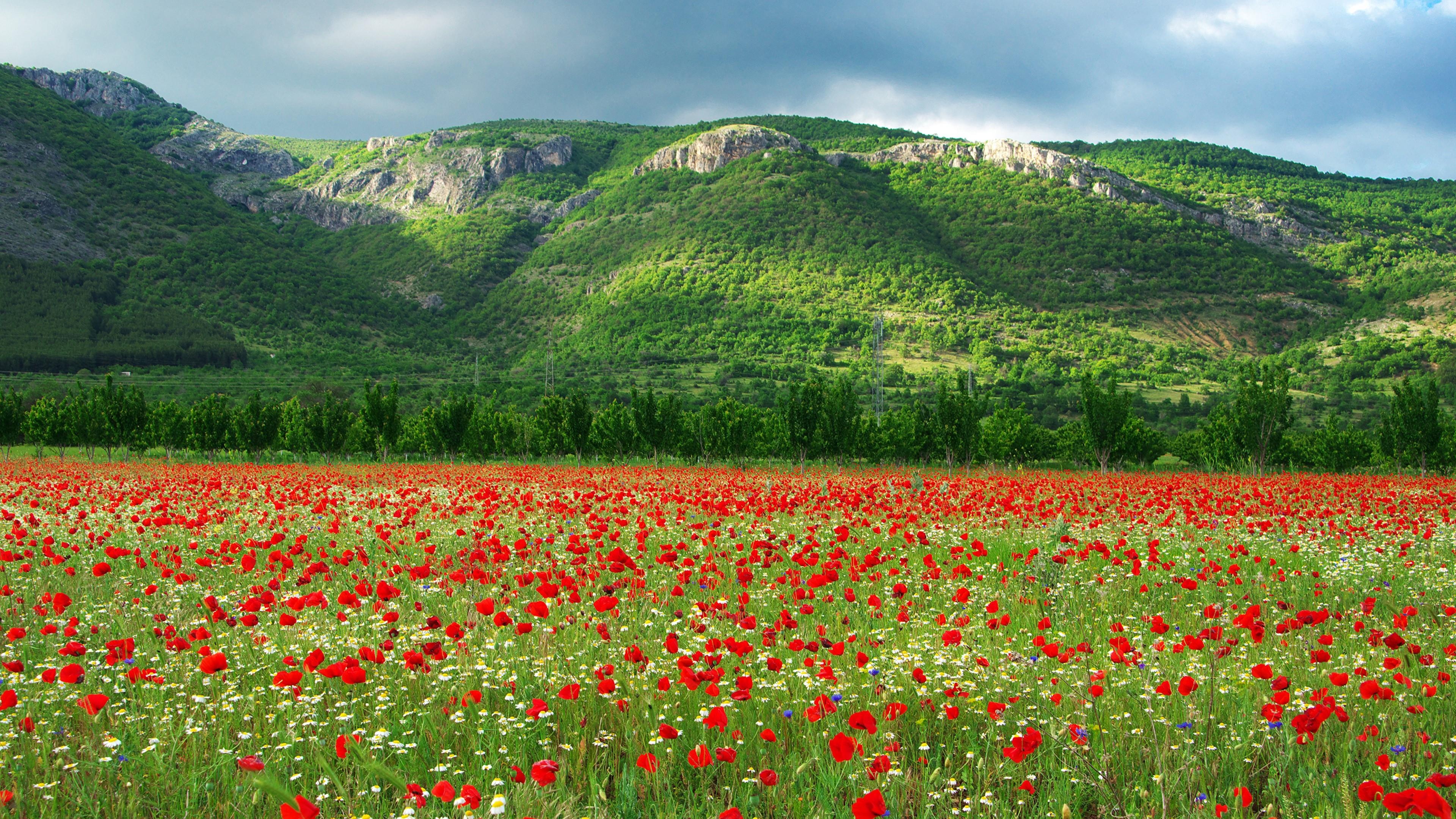 Bulgaria, Scenic wallpapers, Natural wonders, Picturesque landscapes, 3840x2160 4K Desktop