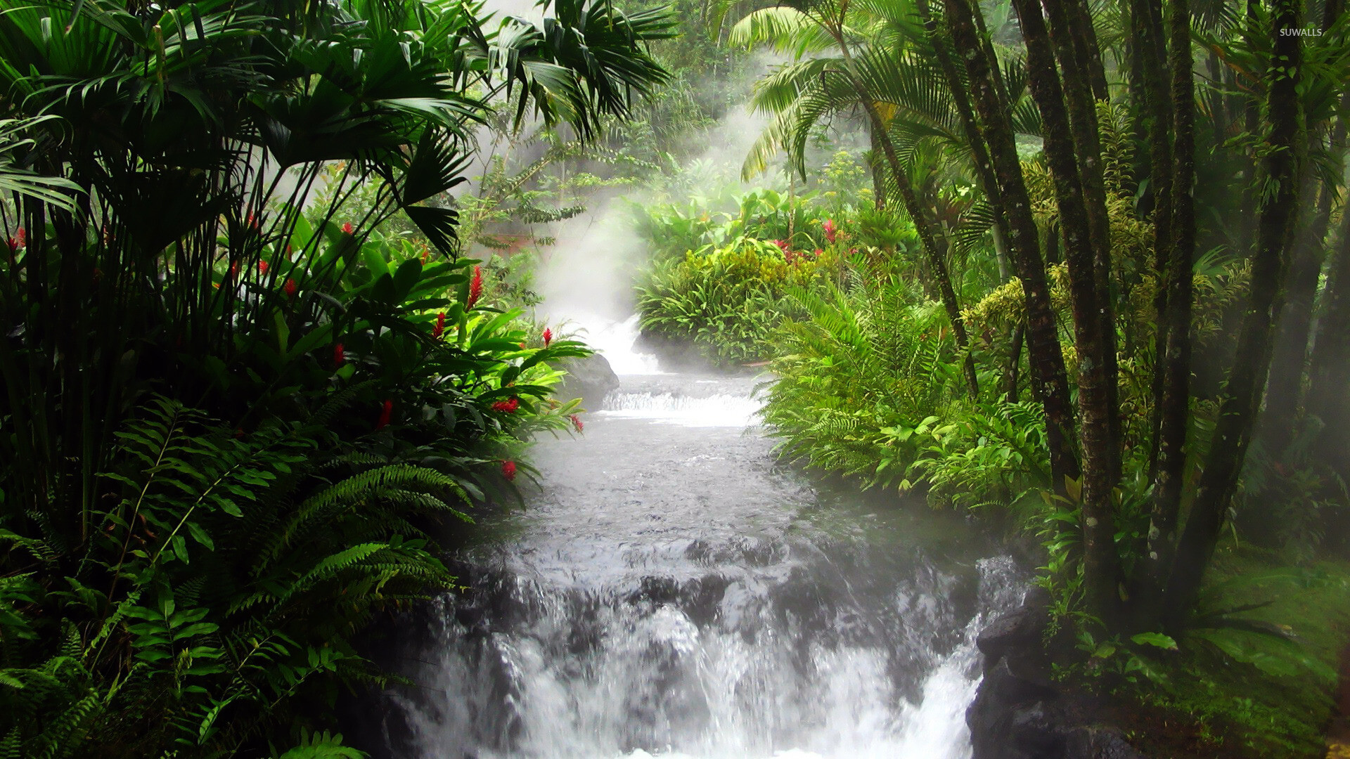 Jungle: Waterfall, Nature, Tropical forest, Uncultivated region. 1920x1080 Full HD Wallpaper.