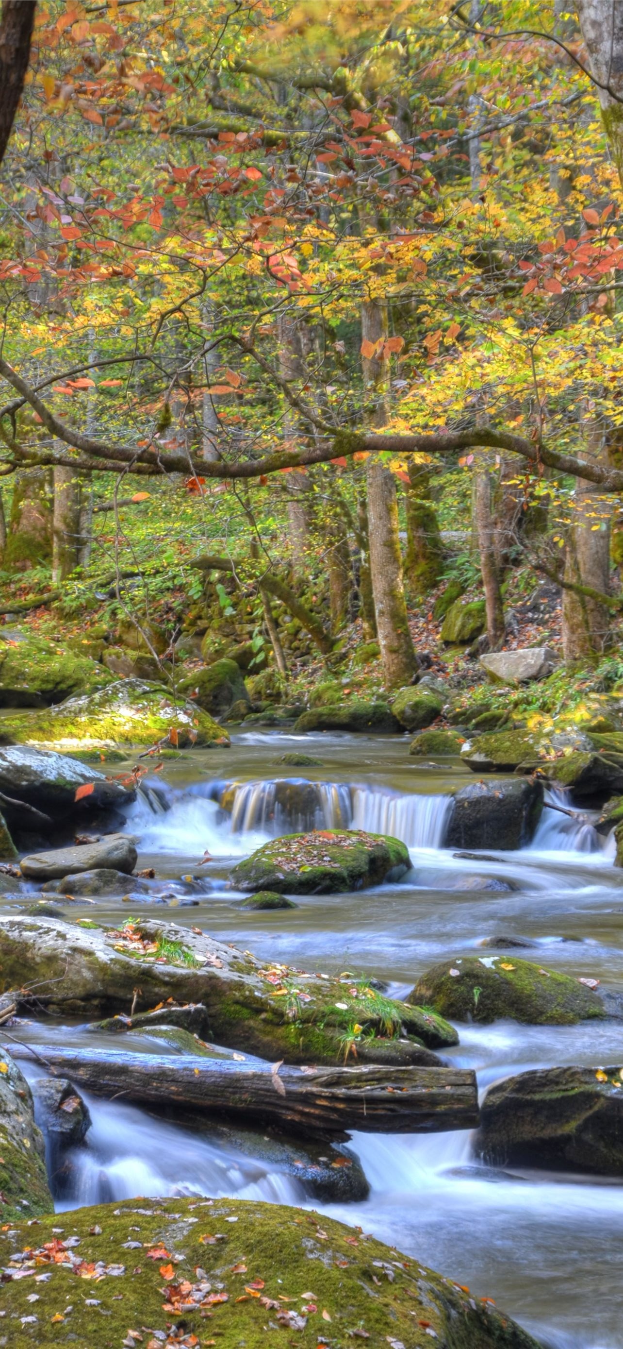 Great Smoky Mountains, National Park, iPhone wallpapers, Free download, 1290x2780 HD Handy