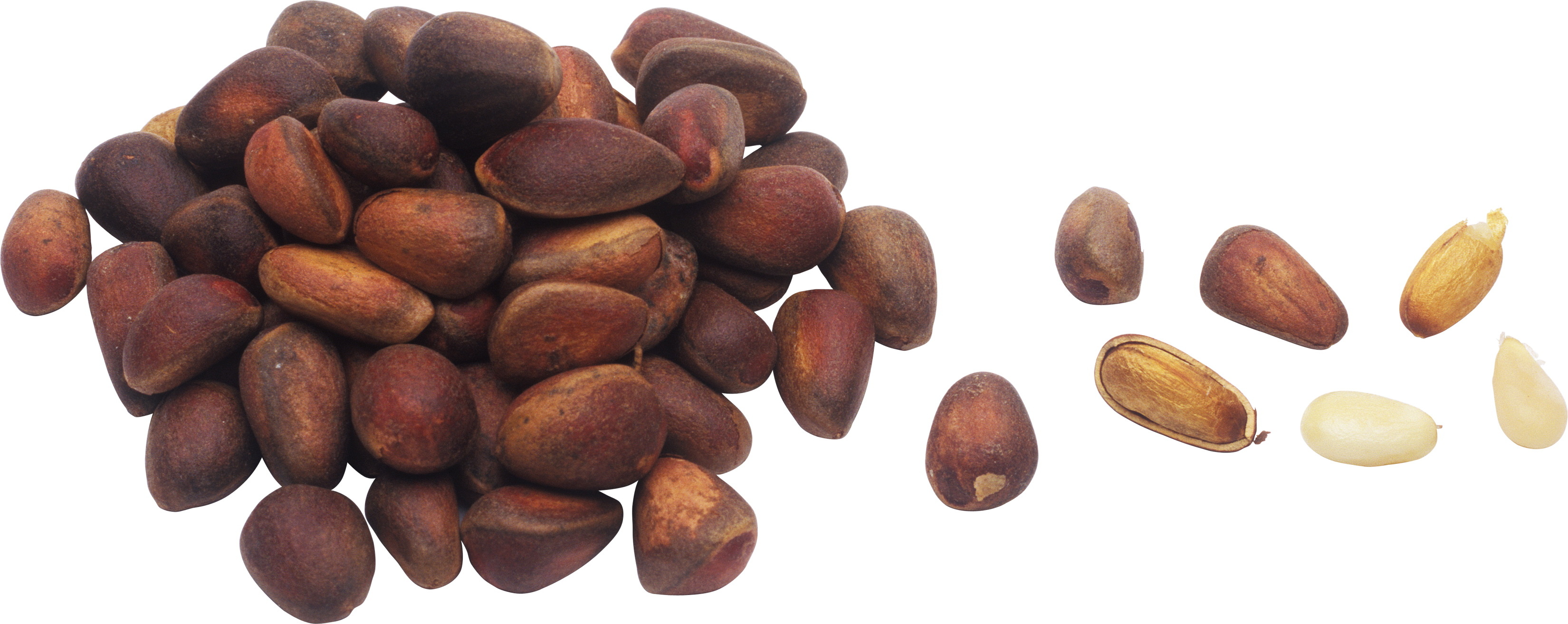 Nutty wallpapers, Nut-themed backgrounds, HD images, Visual delights, 3300x1320 Dual Screen Desktop