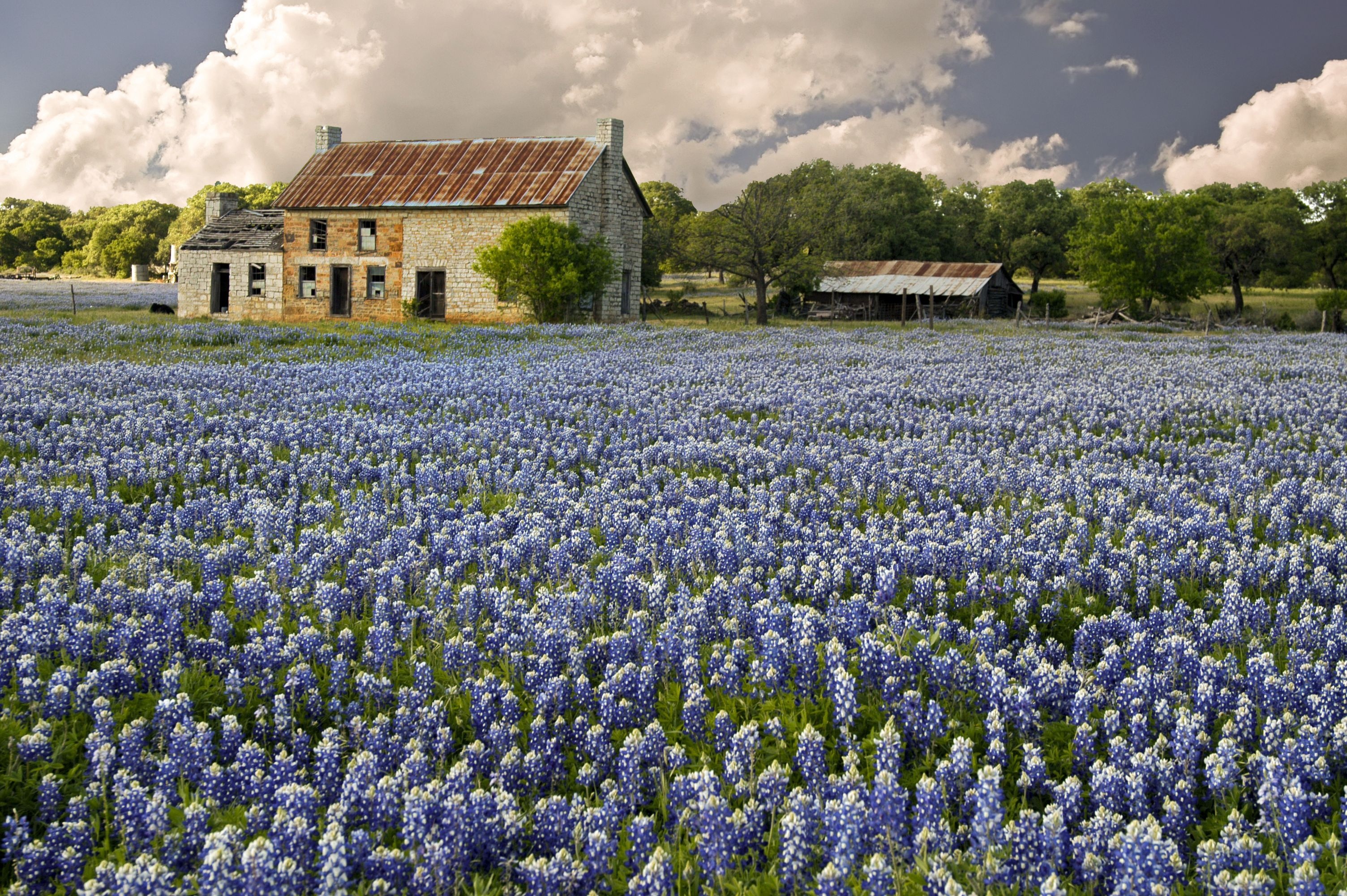 Atemberaubende Landschaften im Texas Hill Country, 3010x2000 HD Desktop