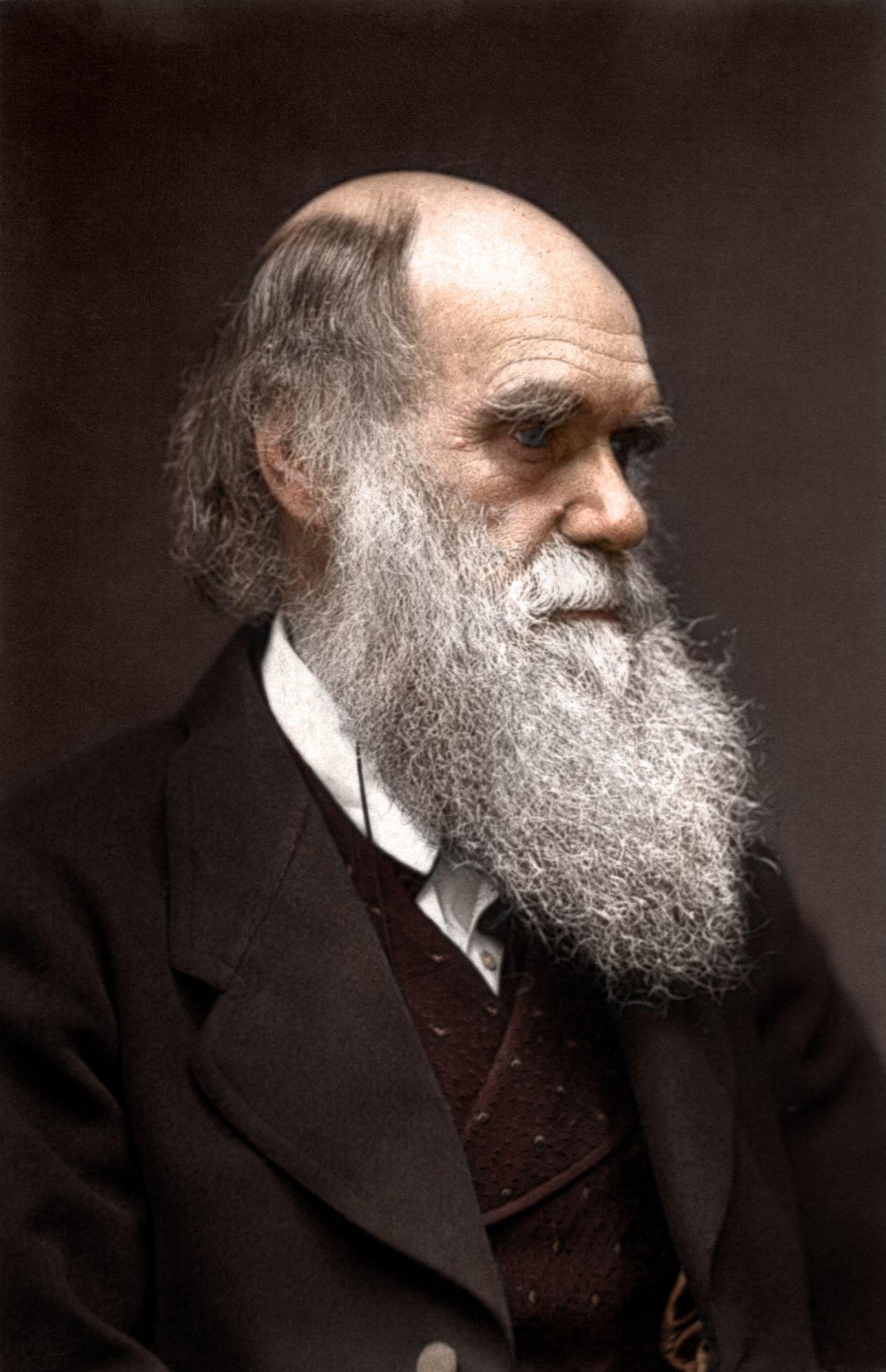 Charles Darwin: One of the most influential figures in human history, Portrait. 1290x2000 HD Background.