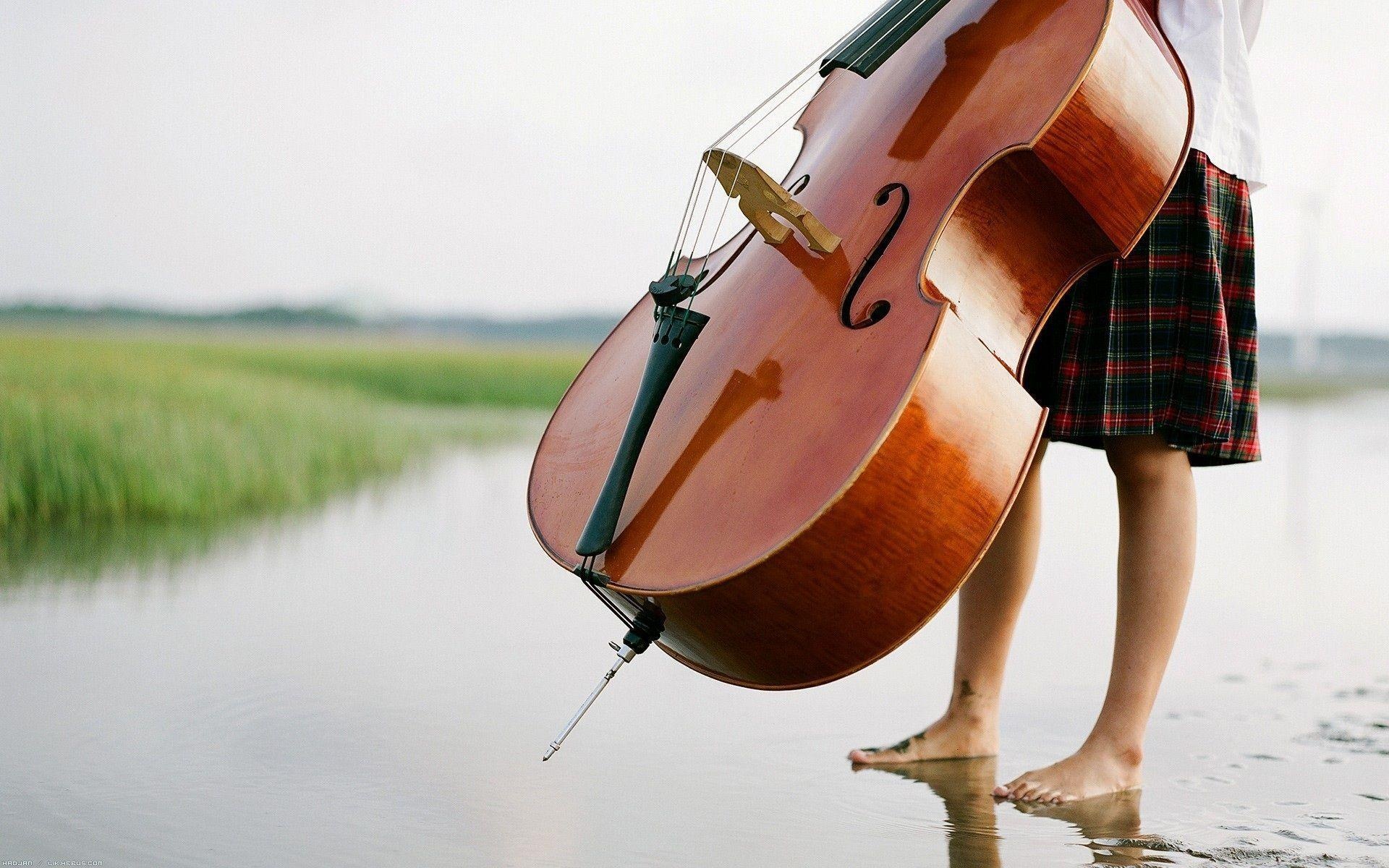 Double Bass: Classical And Jazz Music, Outdoor Festival, Carved Wood, Vibrating Strings. 1920x1200 HD Wallpaper.