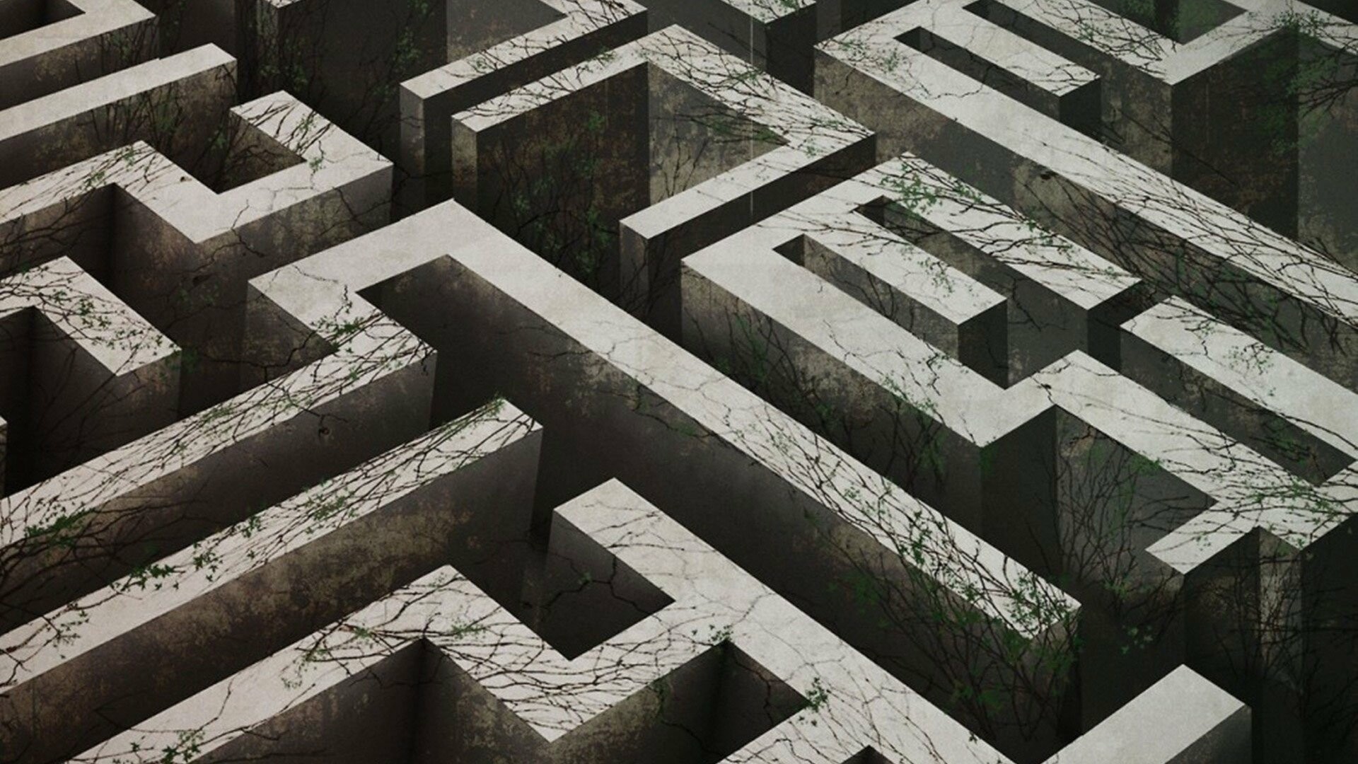 Labyrinth: A complex system of passages or paths between walls or hedges. 1920x1080 Full HD Background.