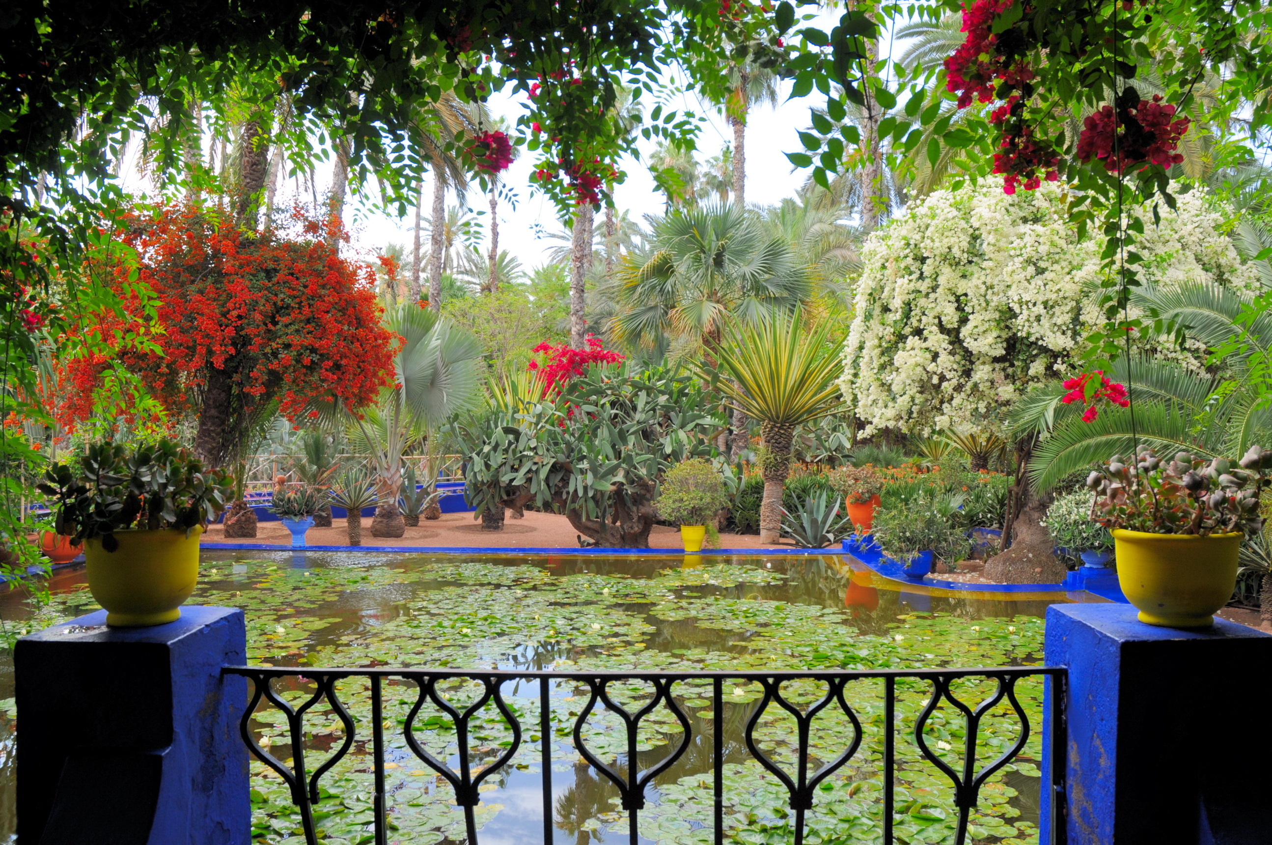 Fotos Morocco Marrakech, Jardin Majorelle's beauty, Natural tranquility, Teich's charm, 2590x1720 HD Desktop