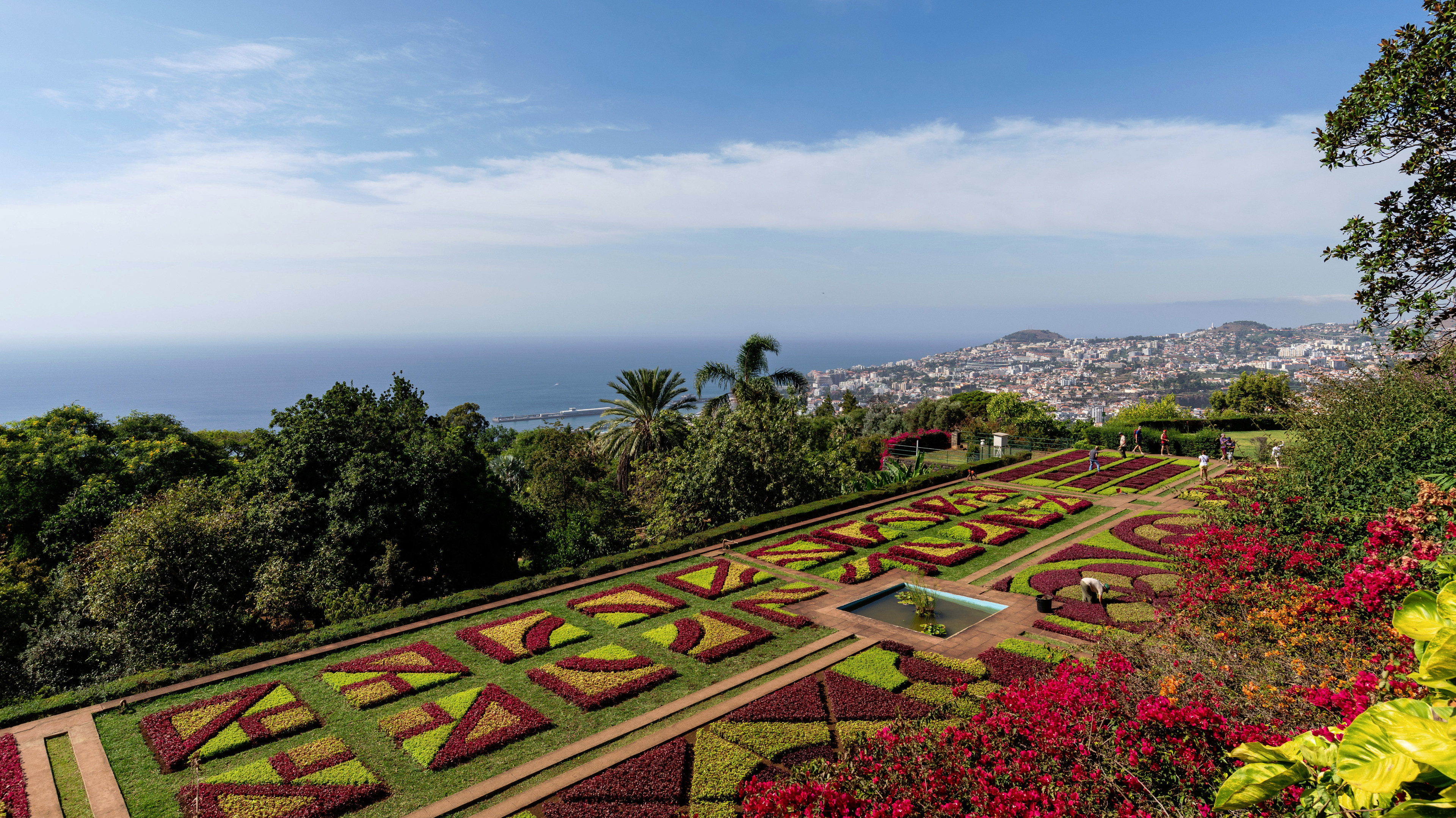 Madeira Travels, Botanical garden, Funchal retreat, Portuguese paradise, 3840x2160 HD Desktop