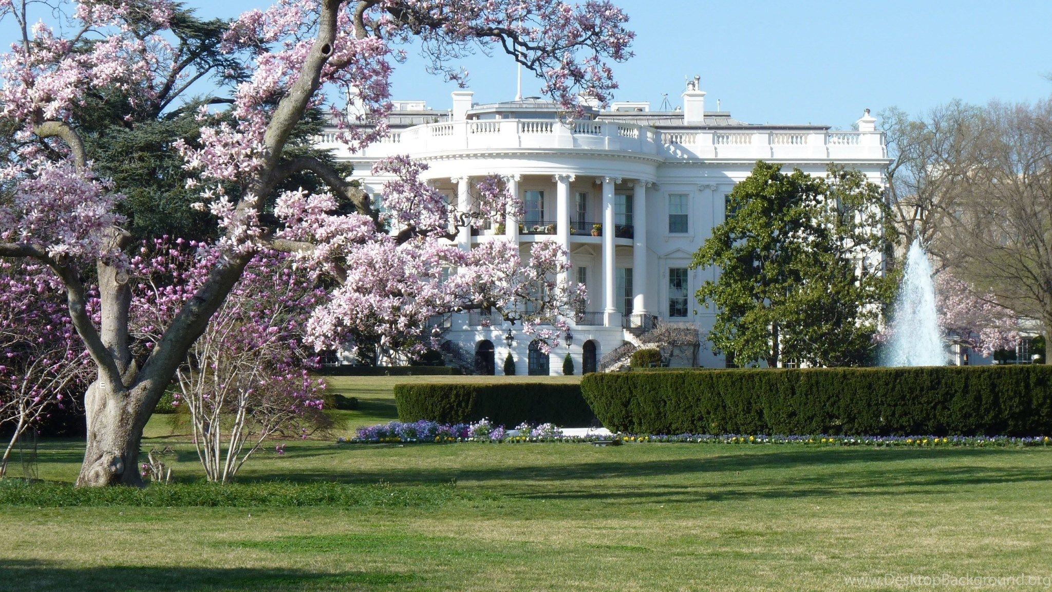 White House, Dual screen wallpapers, Government headquarters, Power symbol, 2050x1160 HD Desktop